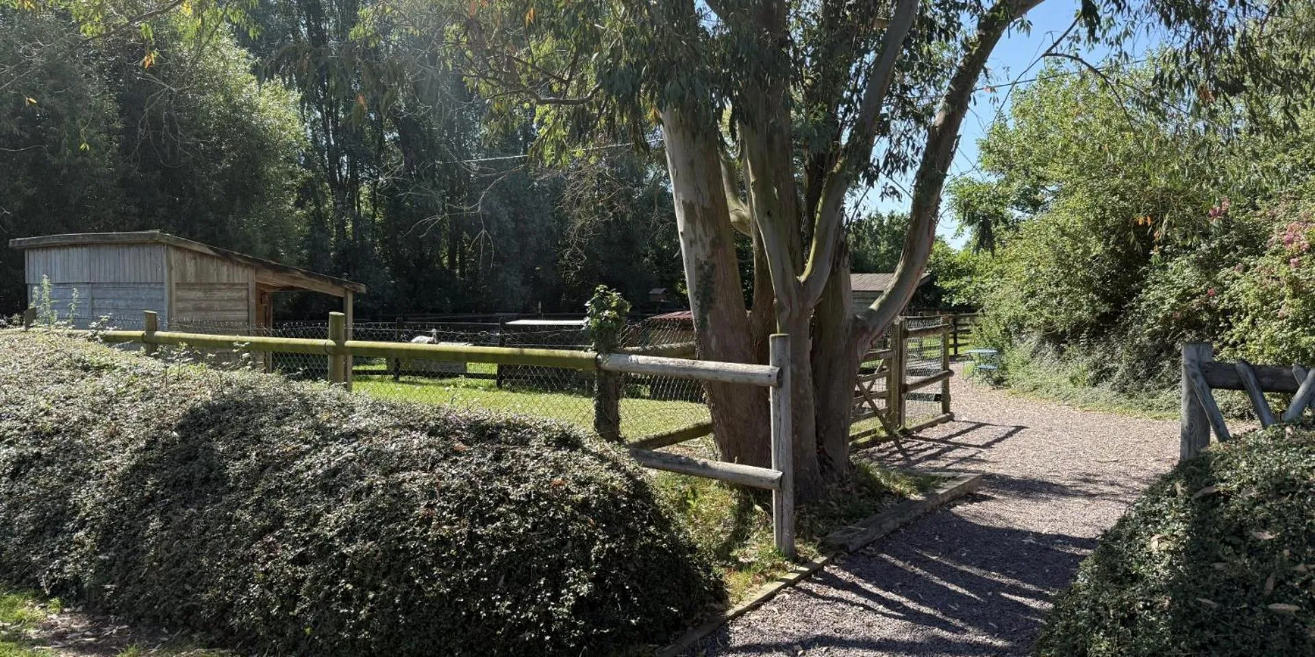 Pets in Chambres d'Hôtes et Suites à La Ferme de l'Oudon & SPA