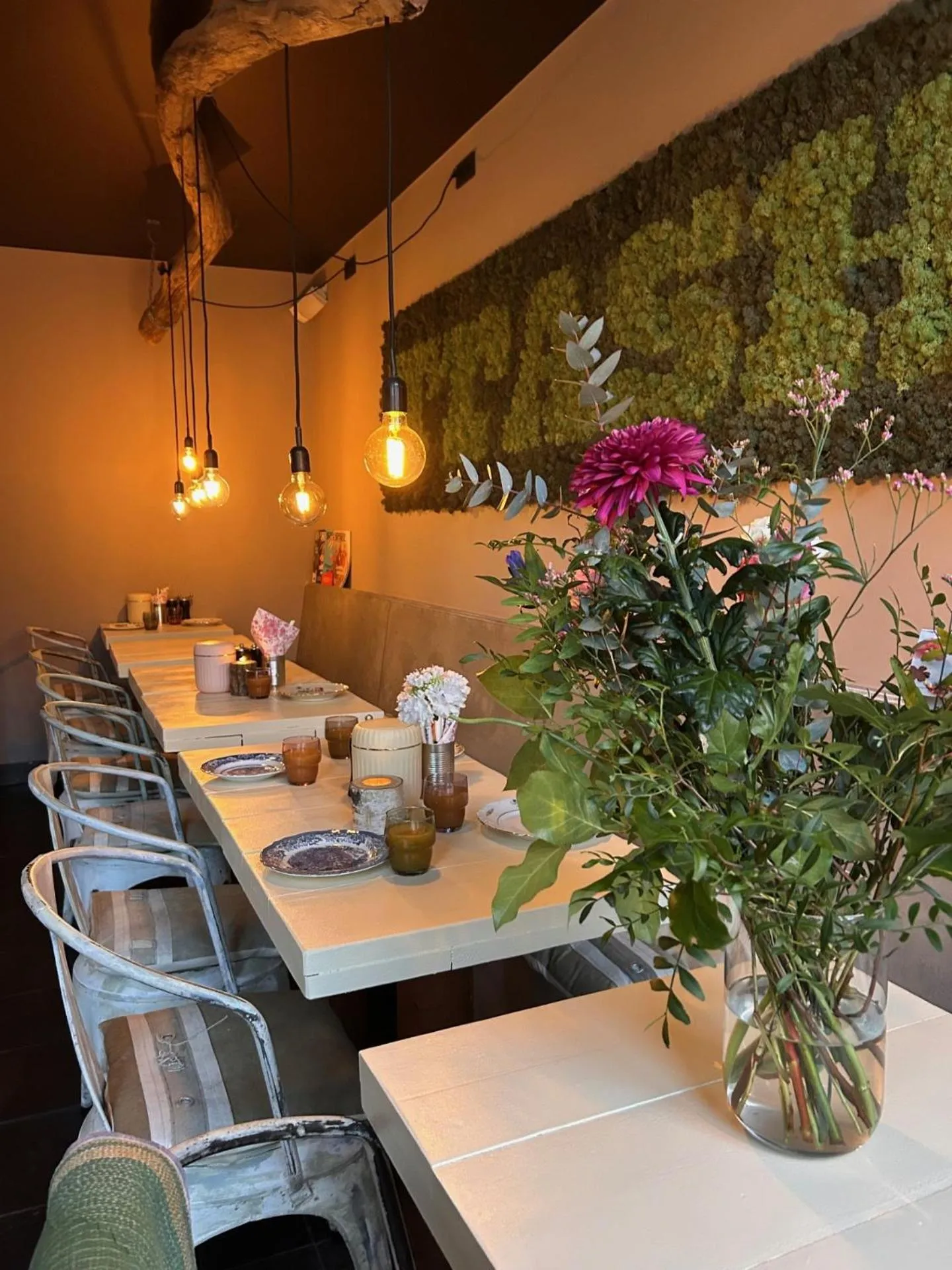 Breakfast in Hotel Trash Deluxe