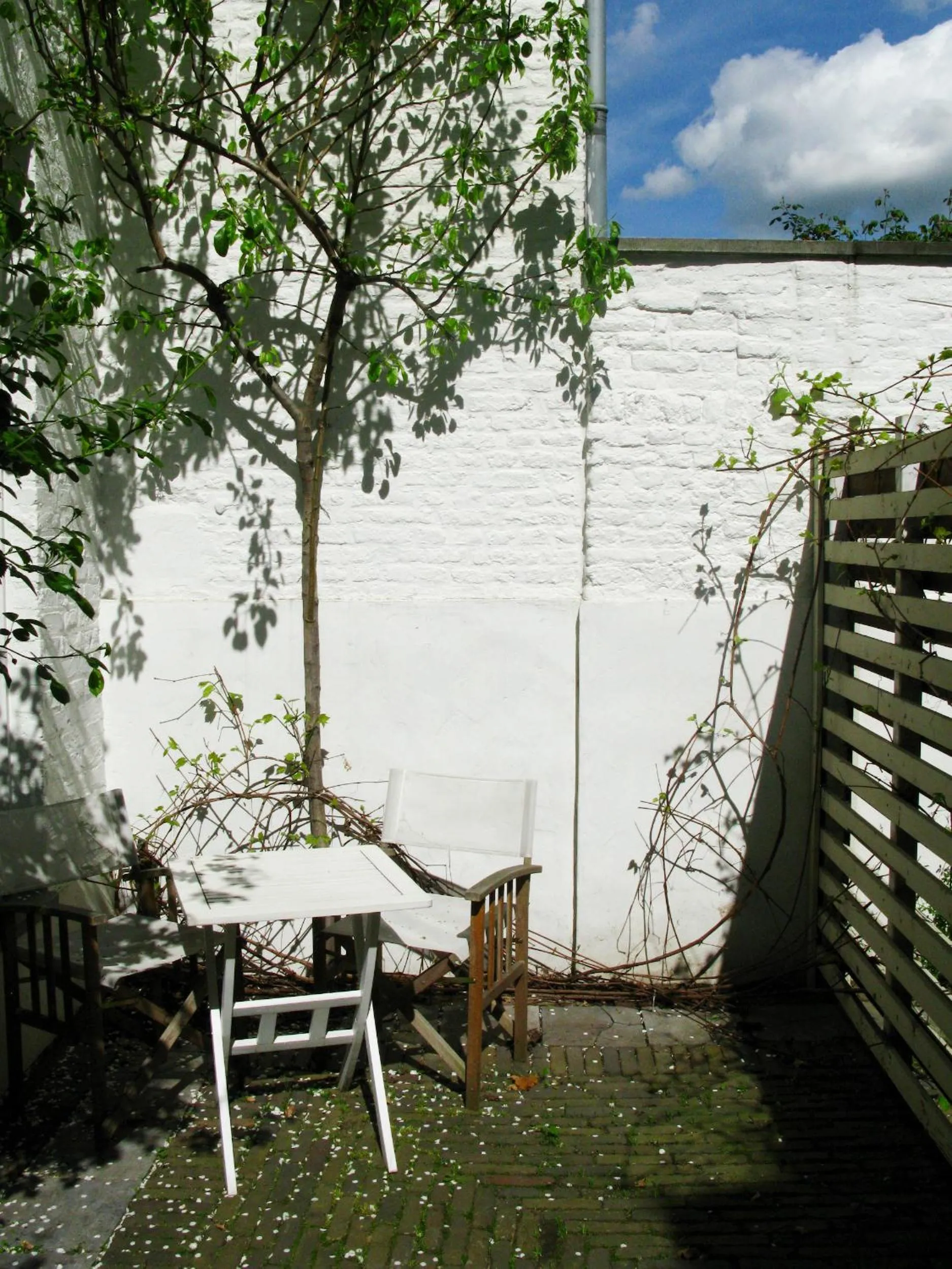 Garden in Hotel Trash Deluxe