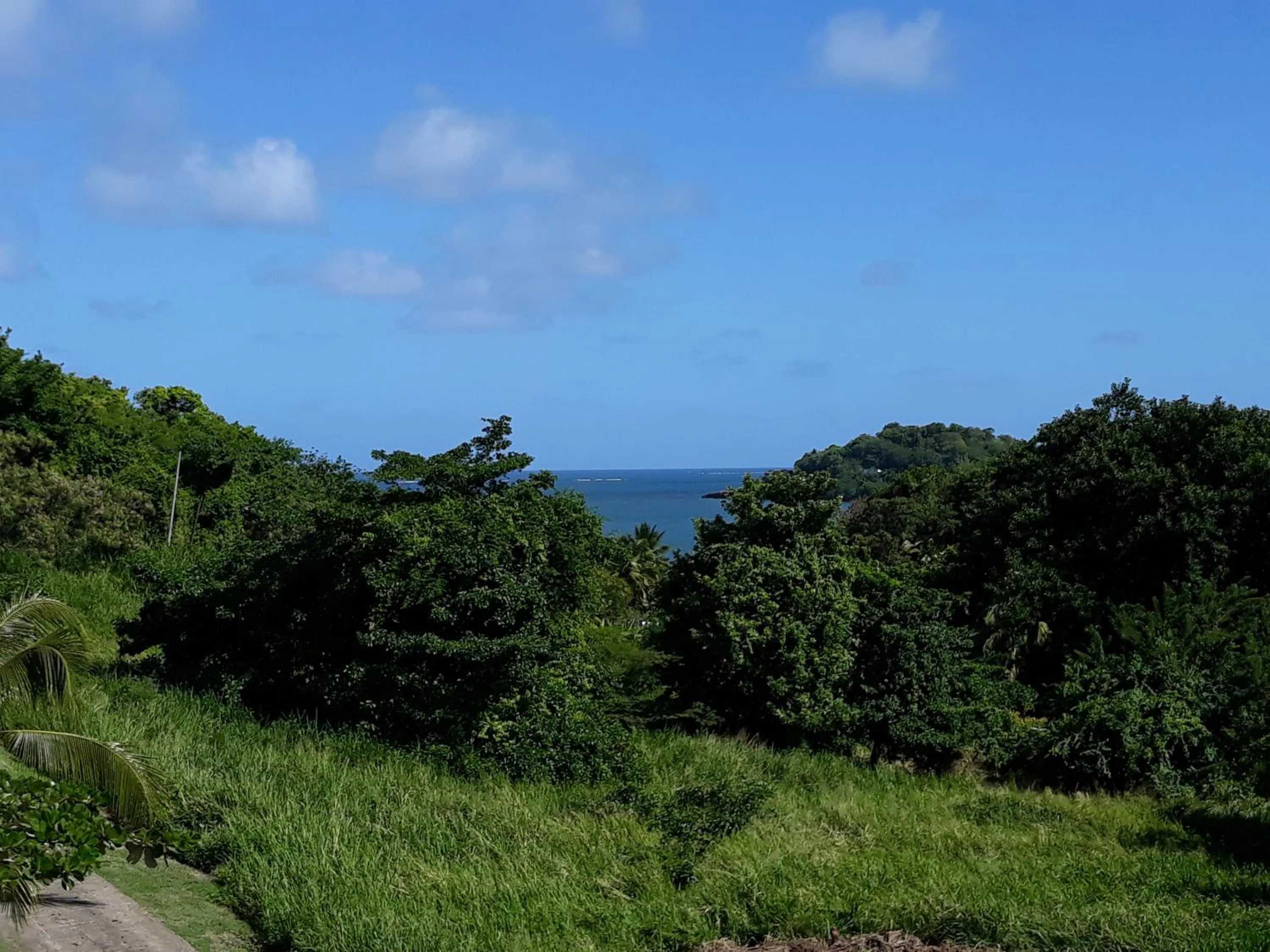 Property building in Villa Clémence
