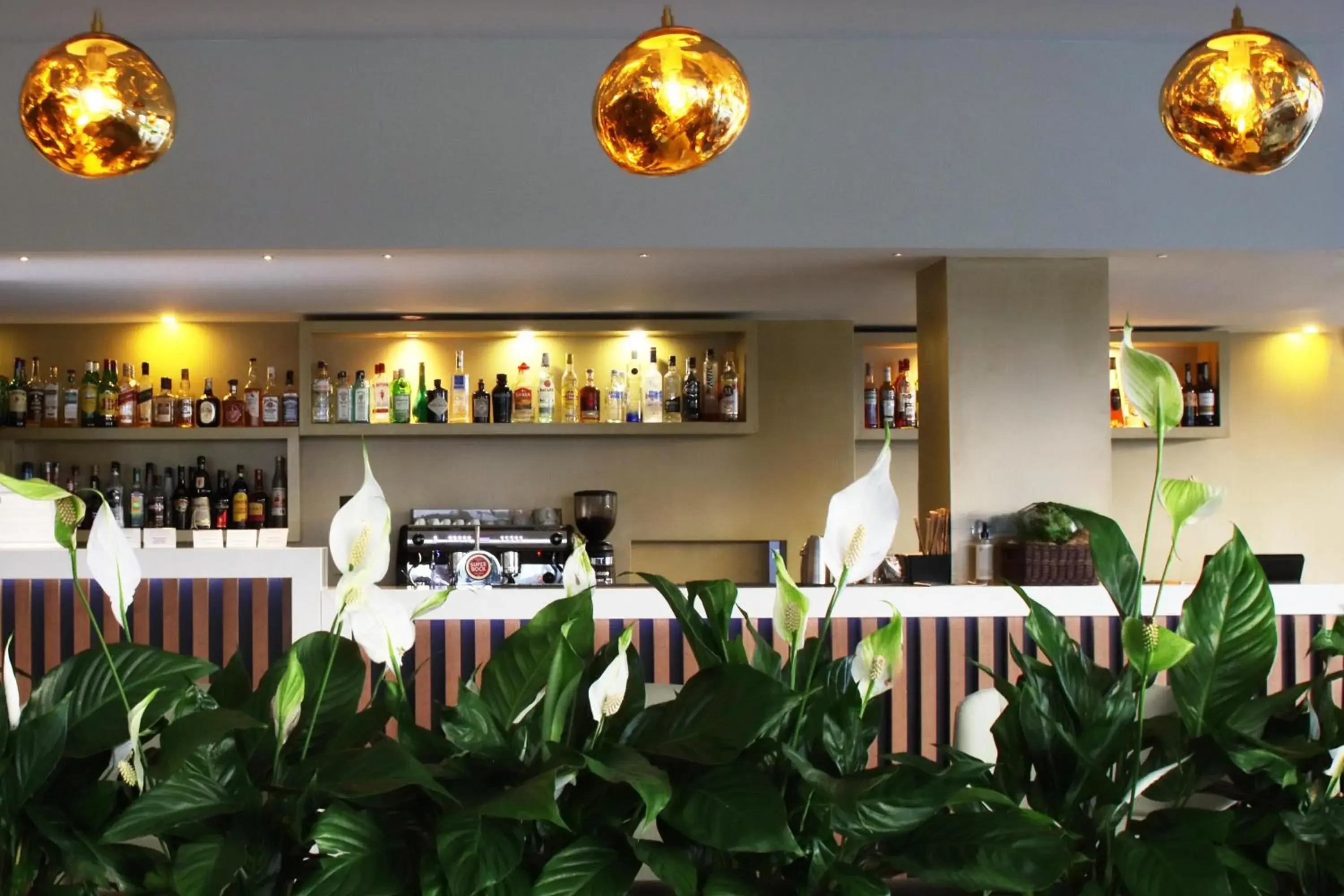 Lounge or bar in Agua Hotels Mondim de Basto Lounge or bar in Agua Hotels Mondim de Basto