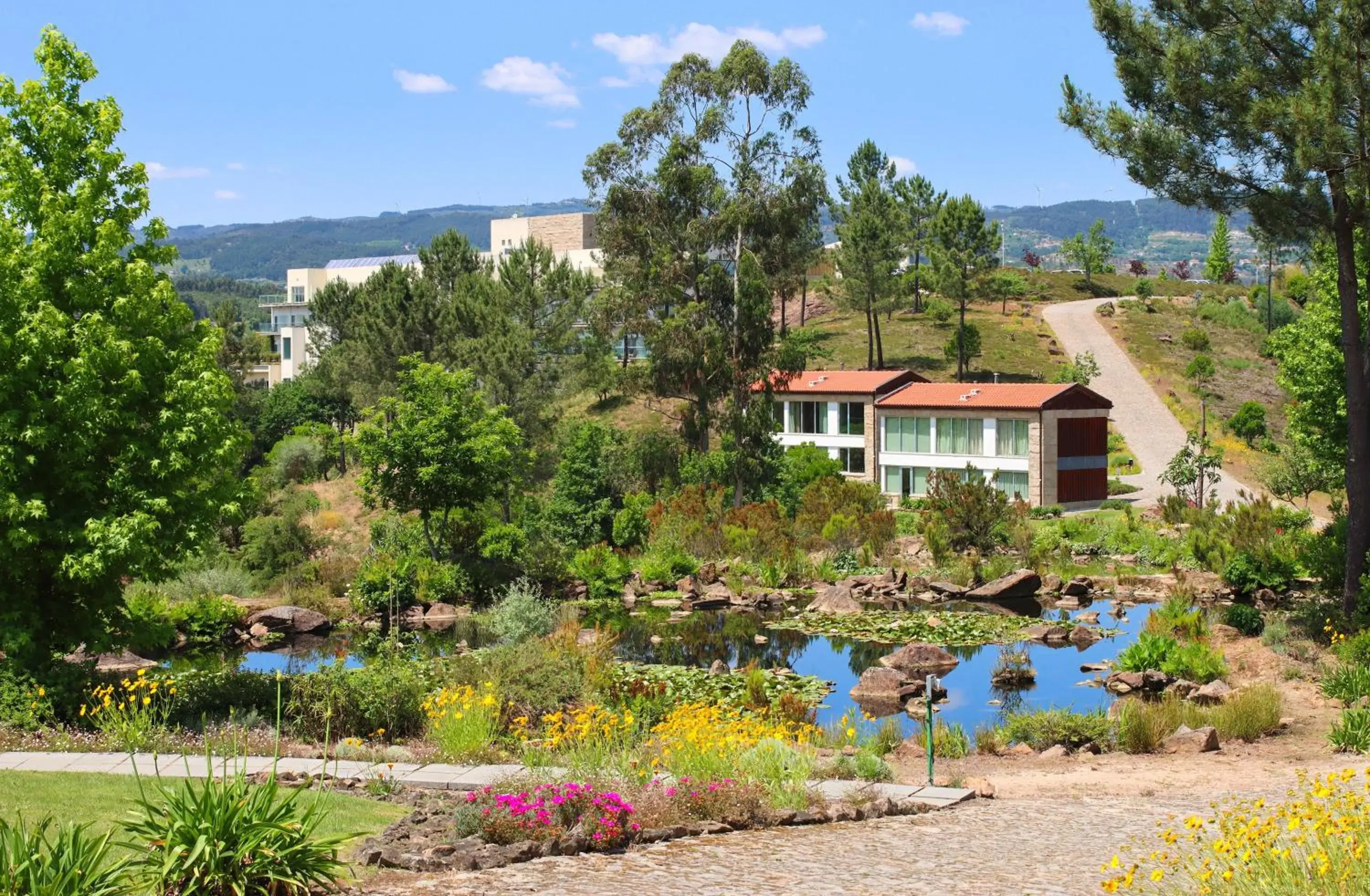 Photo of the whole room in Agua Hotels Mondim de Basto Photo of the whole room in Agua Hotels Mondim de Basto