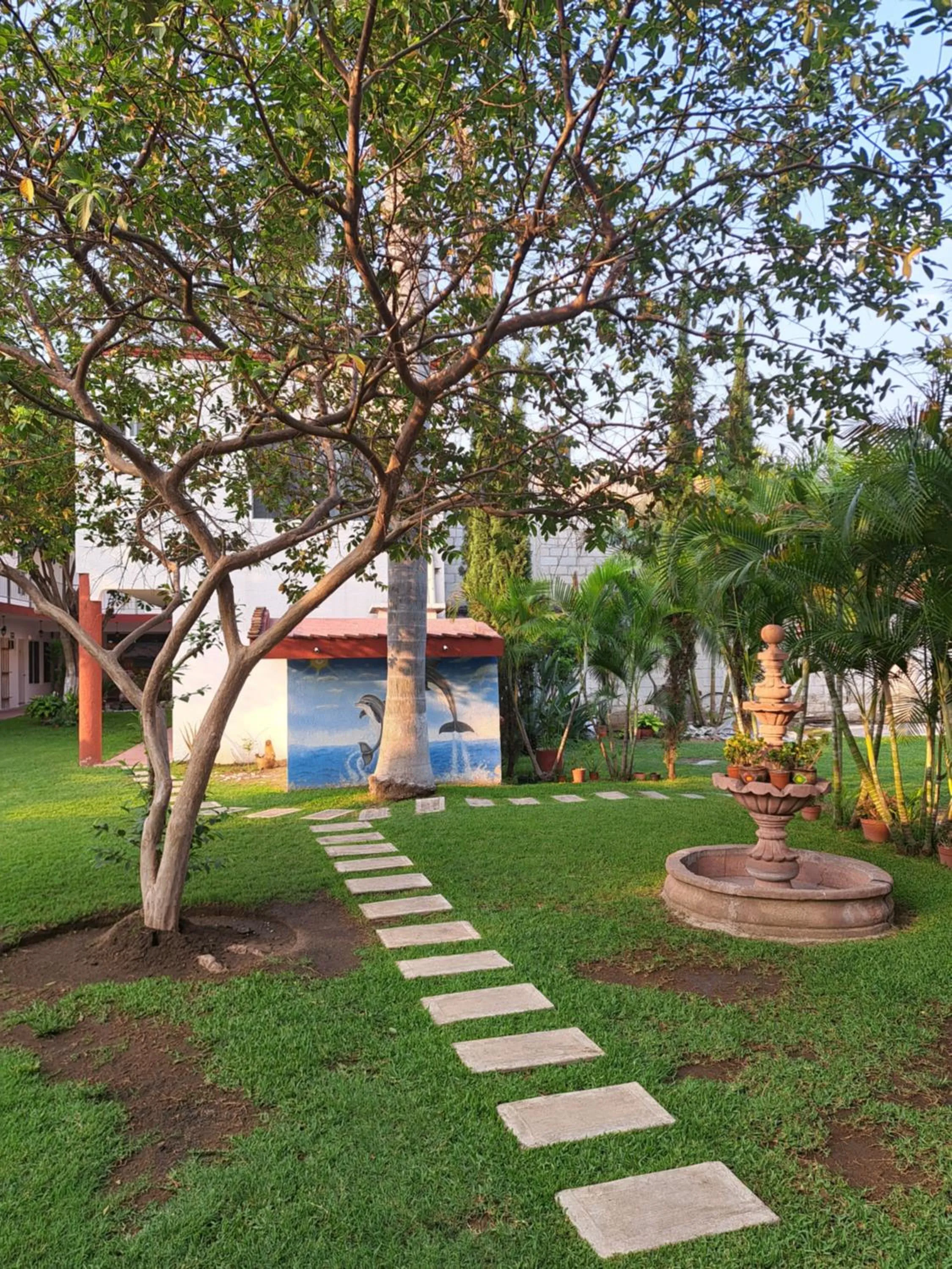 Garden view in Hotel Quinta Paraiso