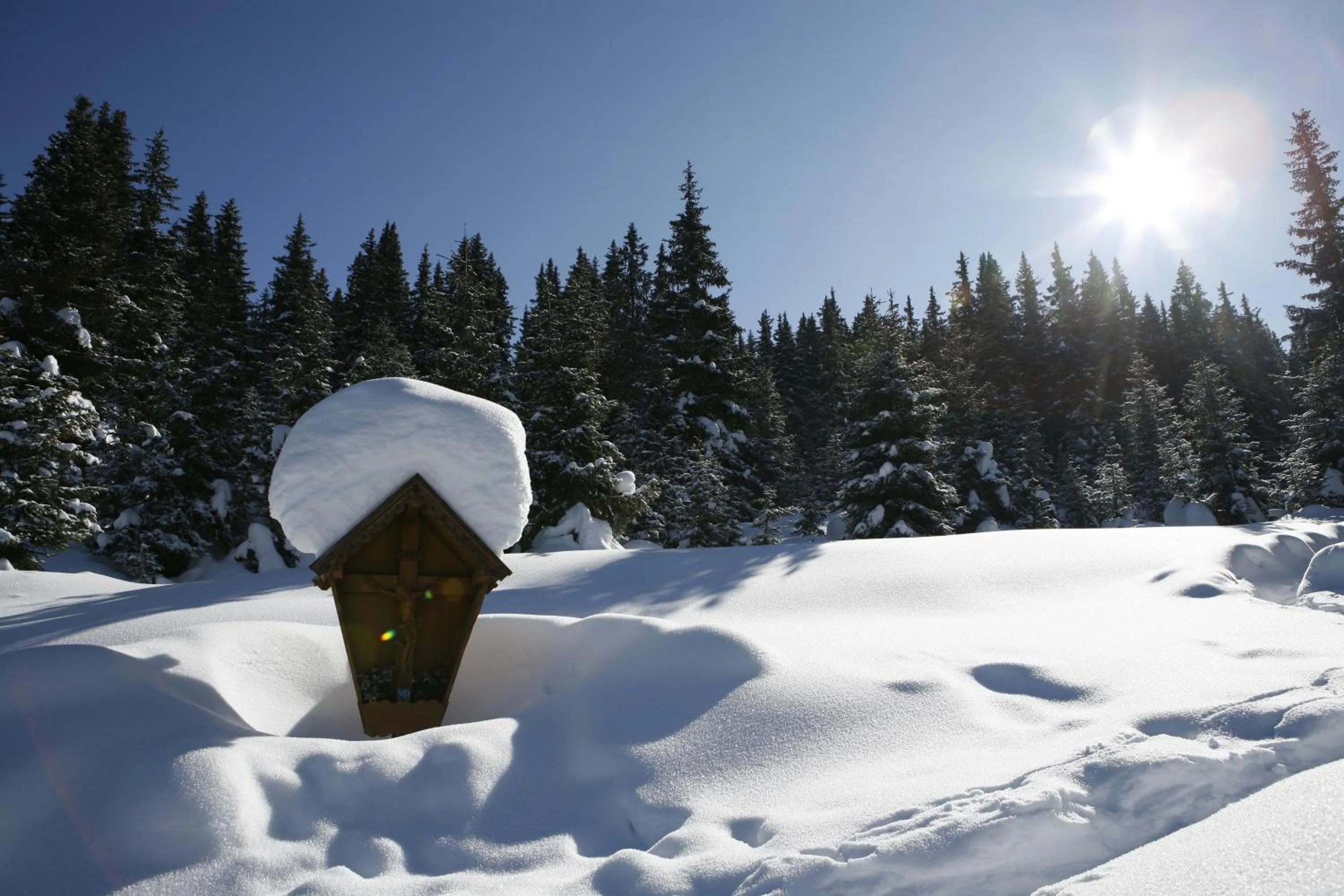 Natural landscape in Hotel Bergblick