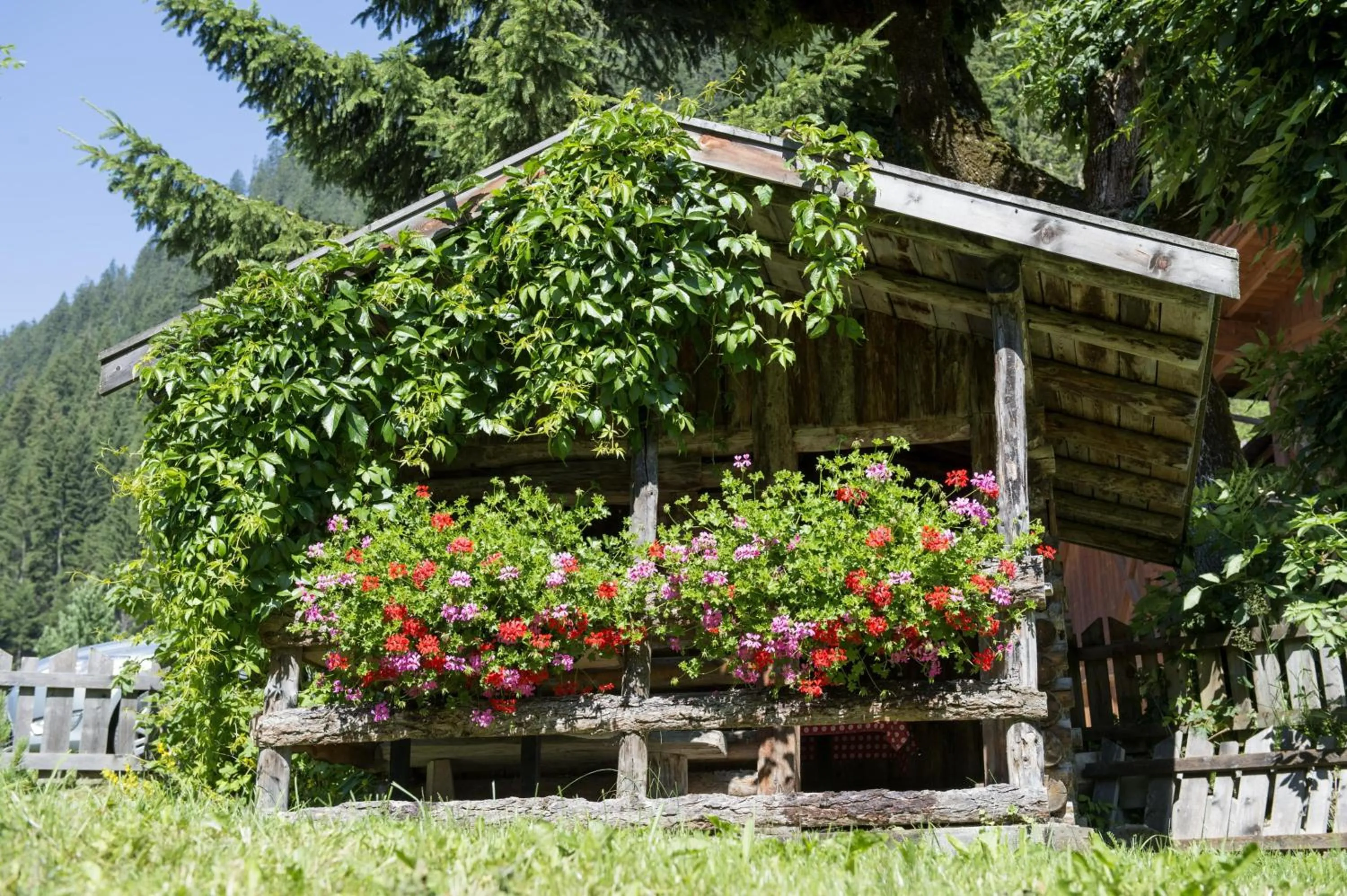 Other in Hotel Bergblick