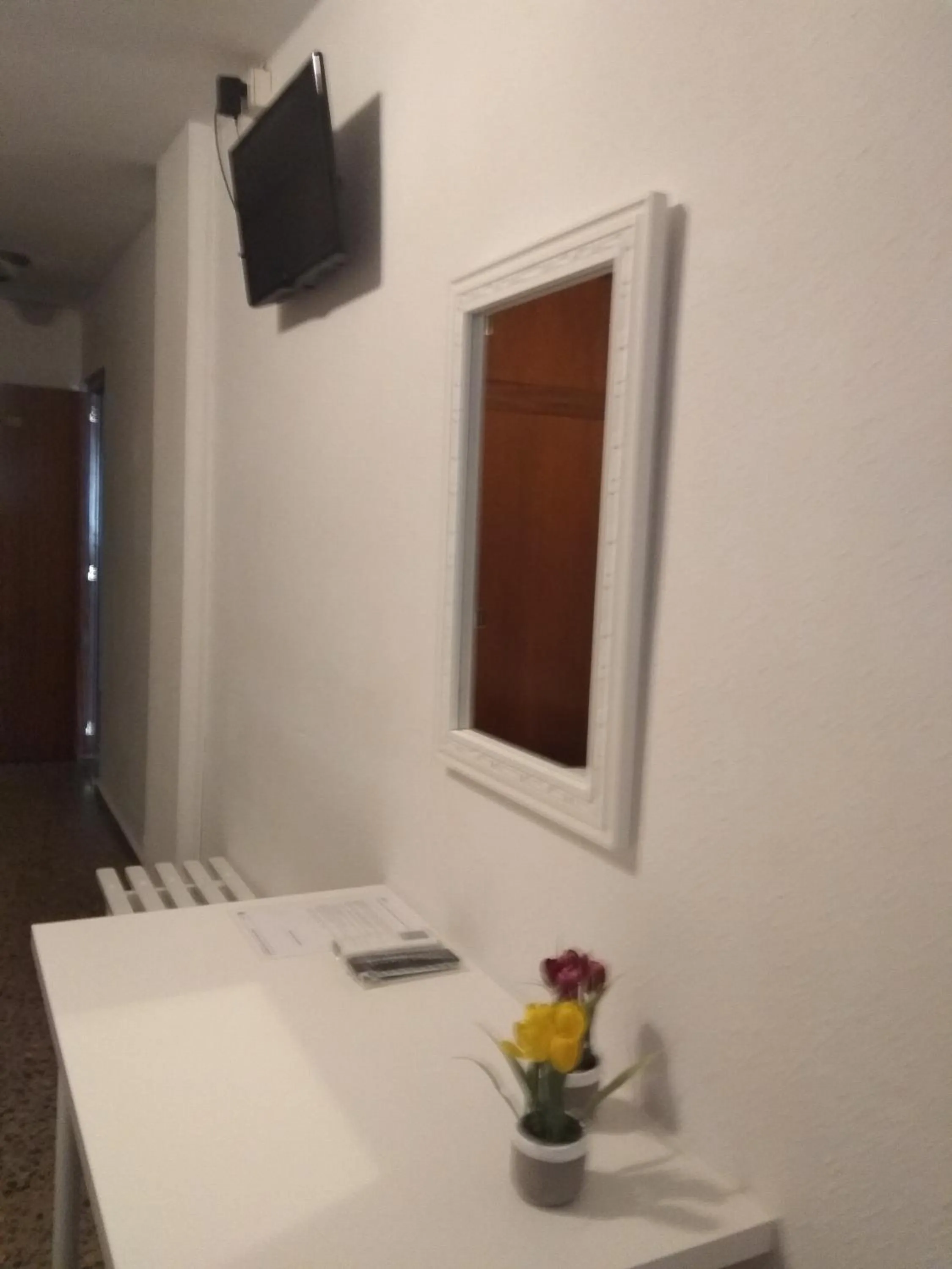 TV and multimedia in Hostal Garamar