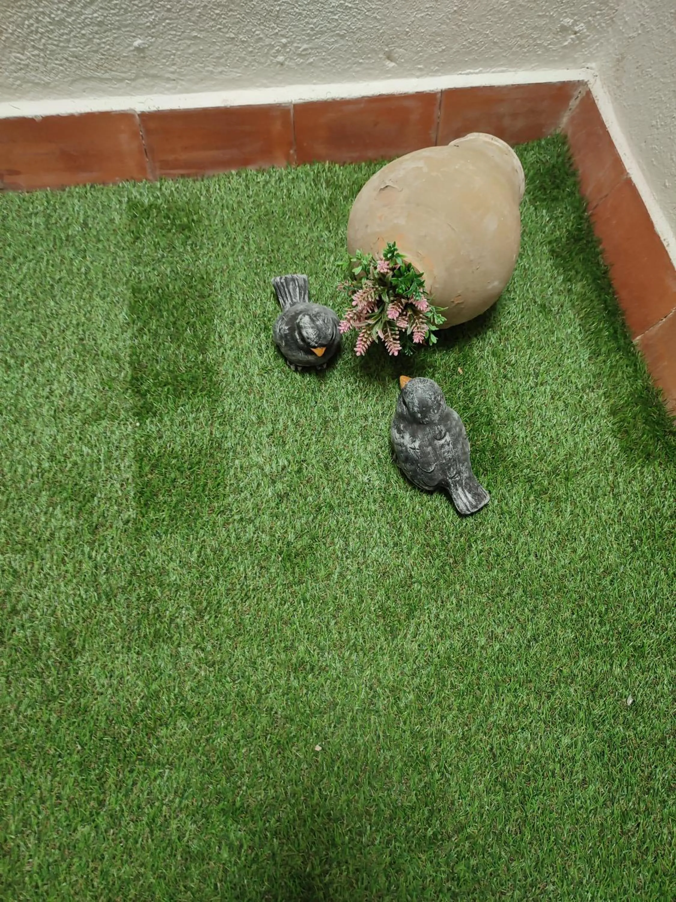 Garden in Hostal Garamar