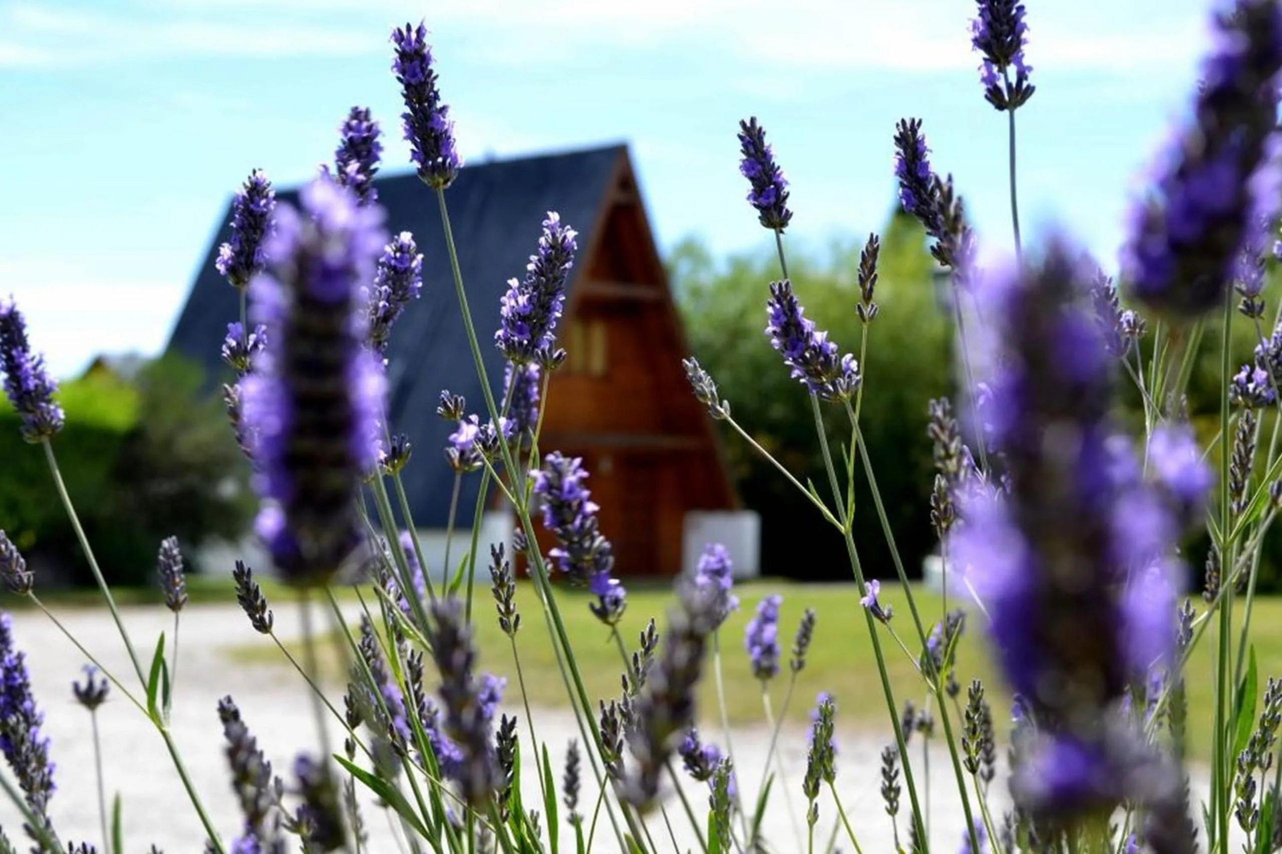 Day in Cabañas Nevis, excelente ubicación