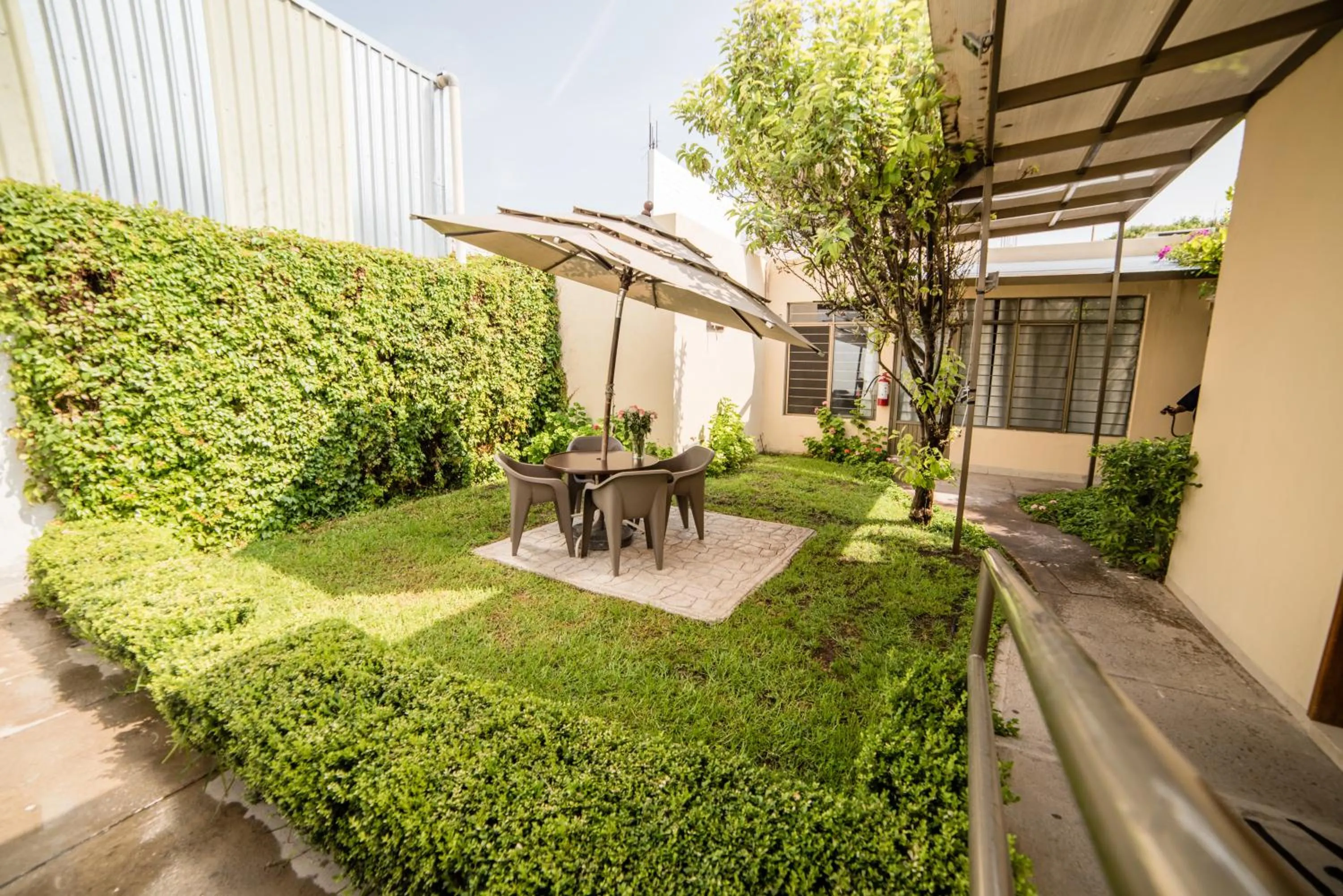 Patio in Hotel Elizabeth Central