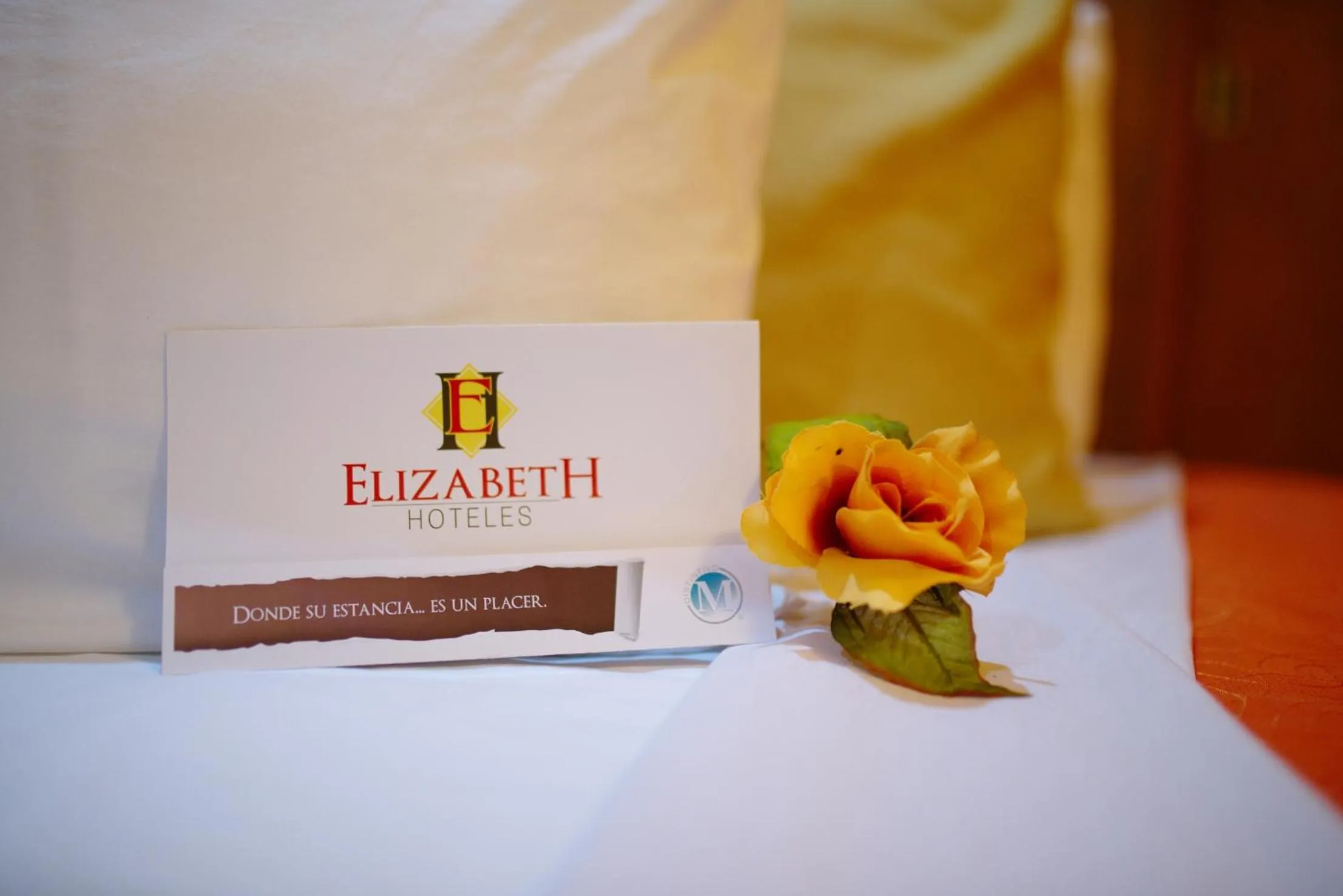 Bed in Hotel Elizabeth Central