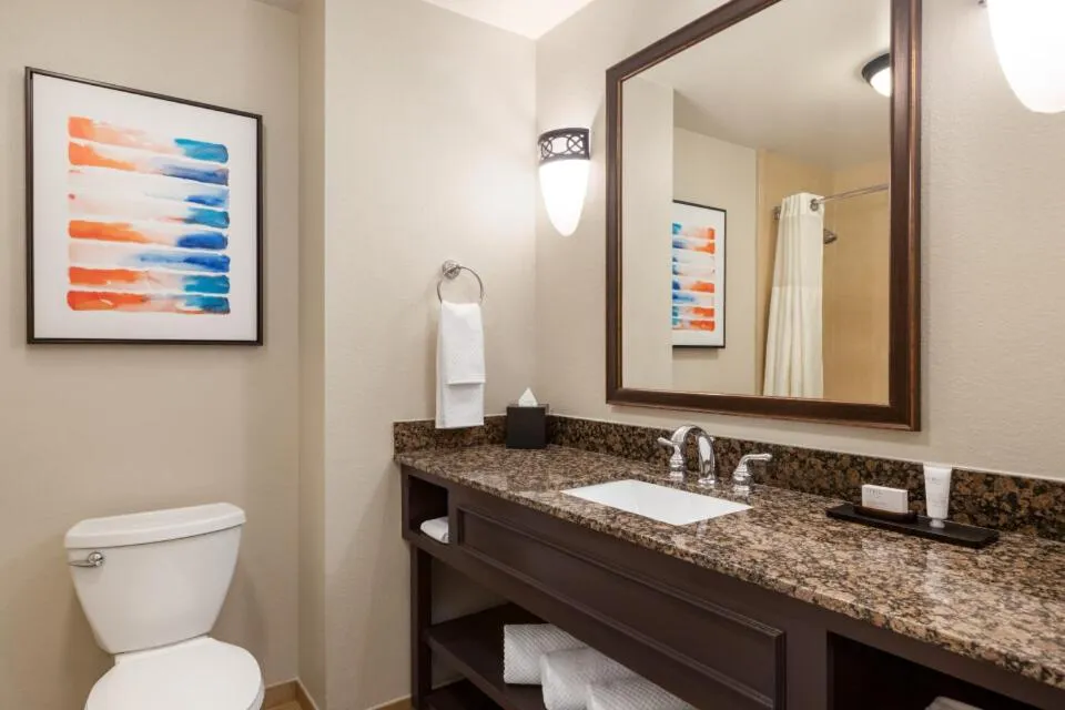 Toilet in Embassy Suites by Hilton Orlando Lake Buena Vista South