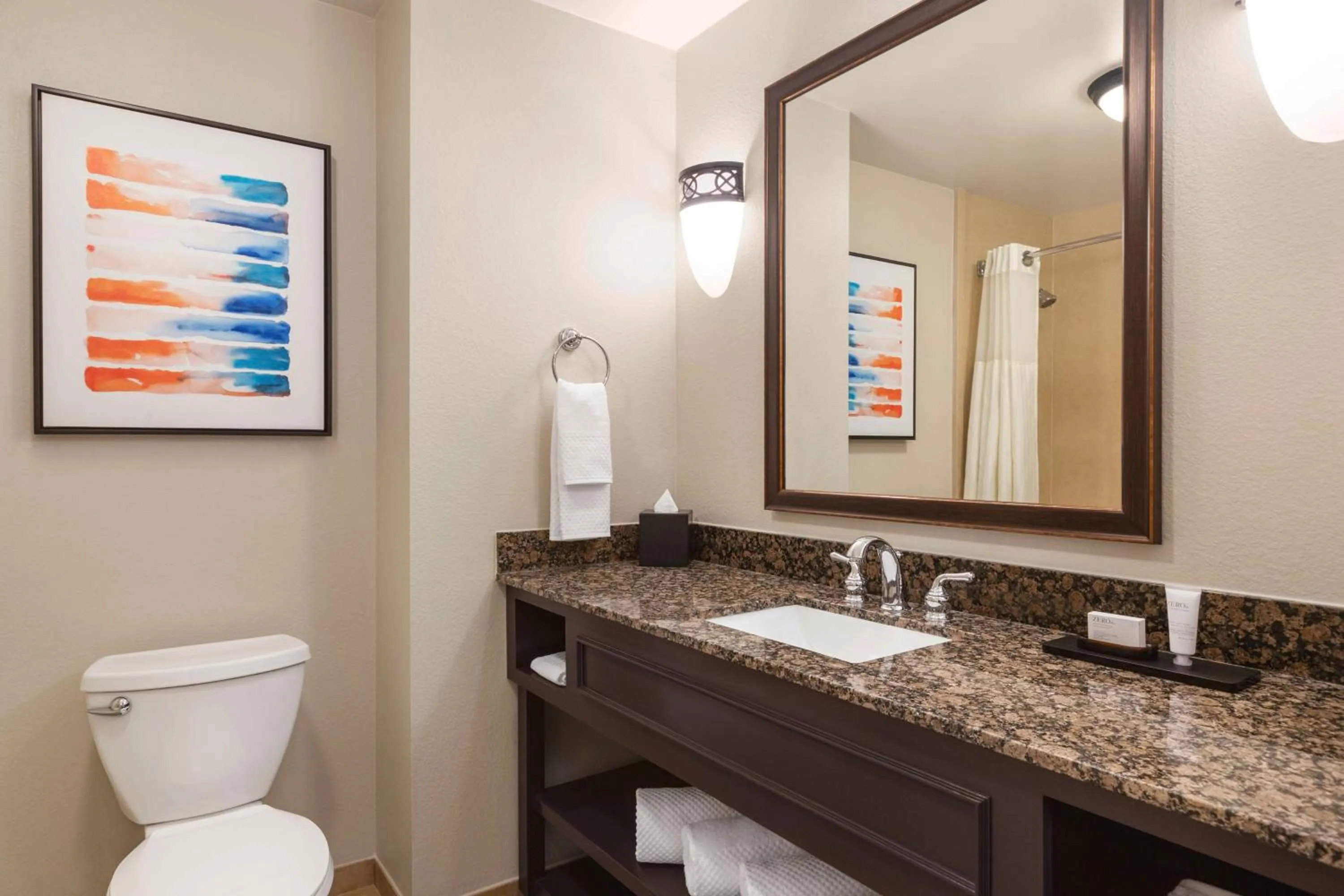 Bathroom in Embassy Suites by Hilton Orlando Lake Buena Vista South