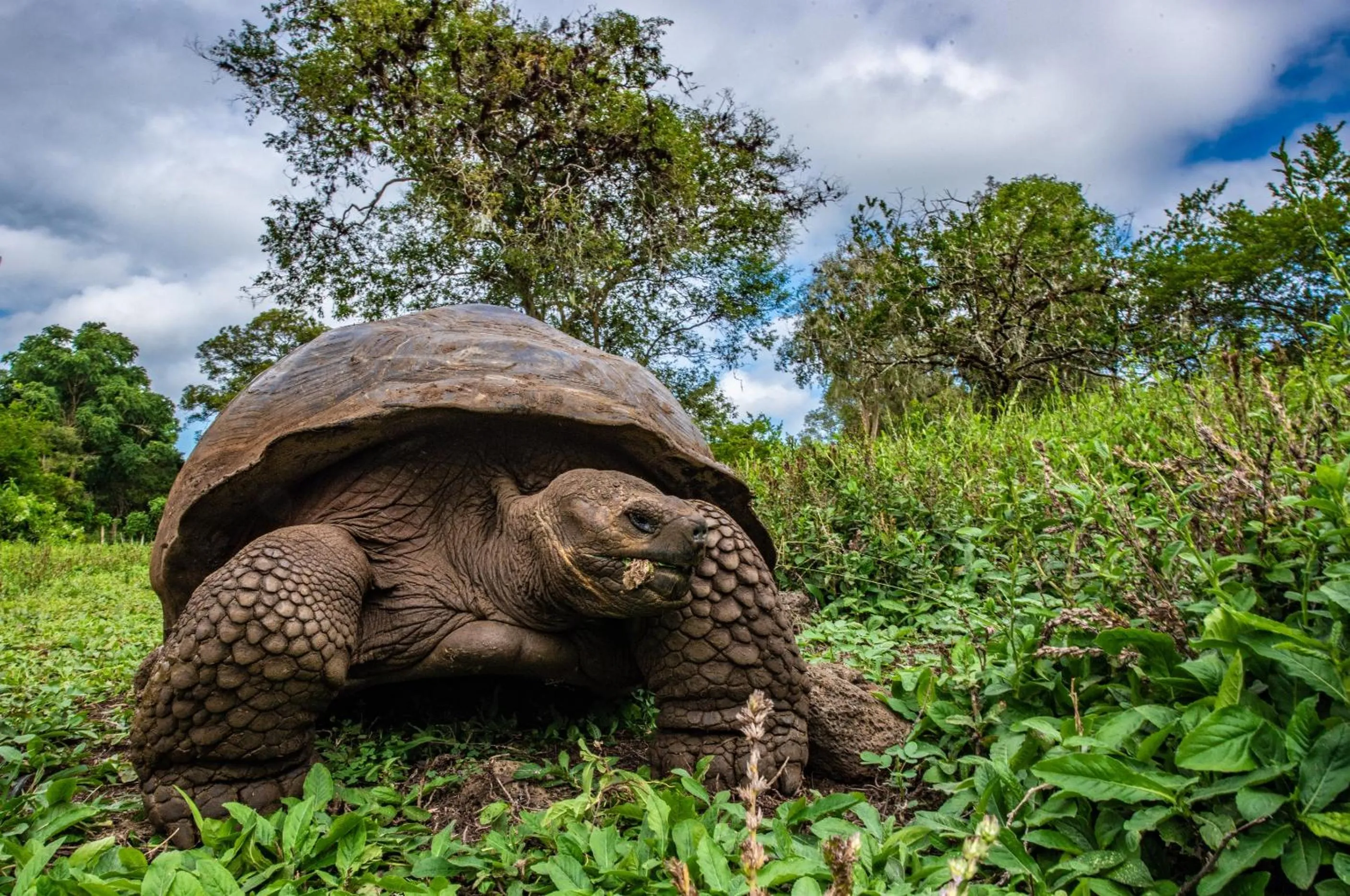 Hiking in Finch Bay Galapagos Hotel