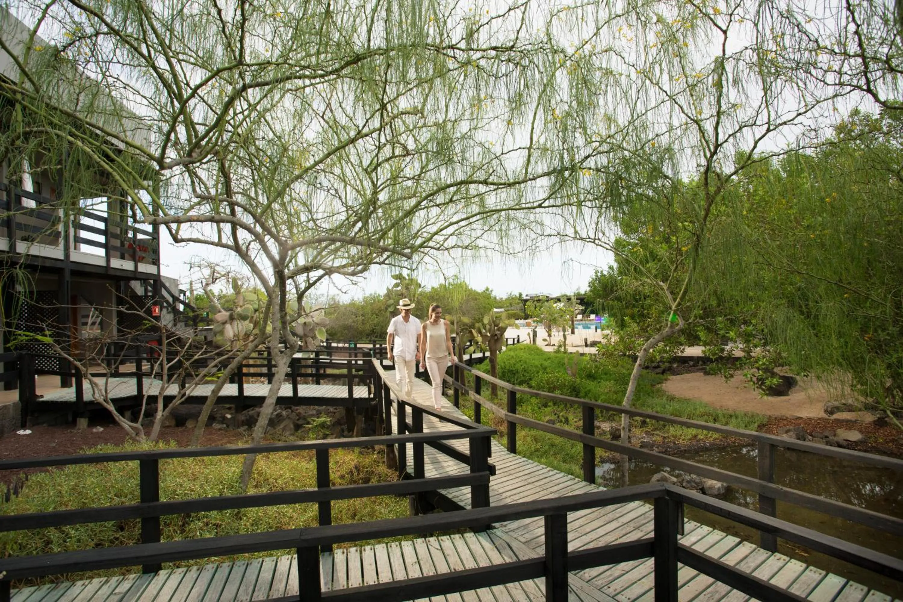 Garden view in Finch Bay Galapagos Hotel