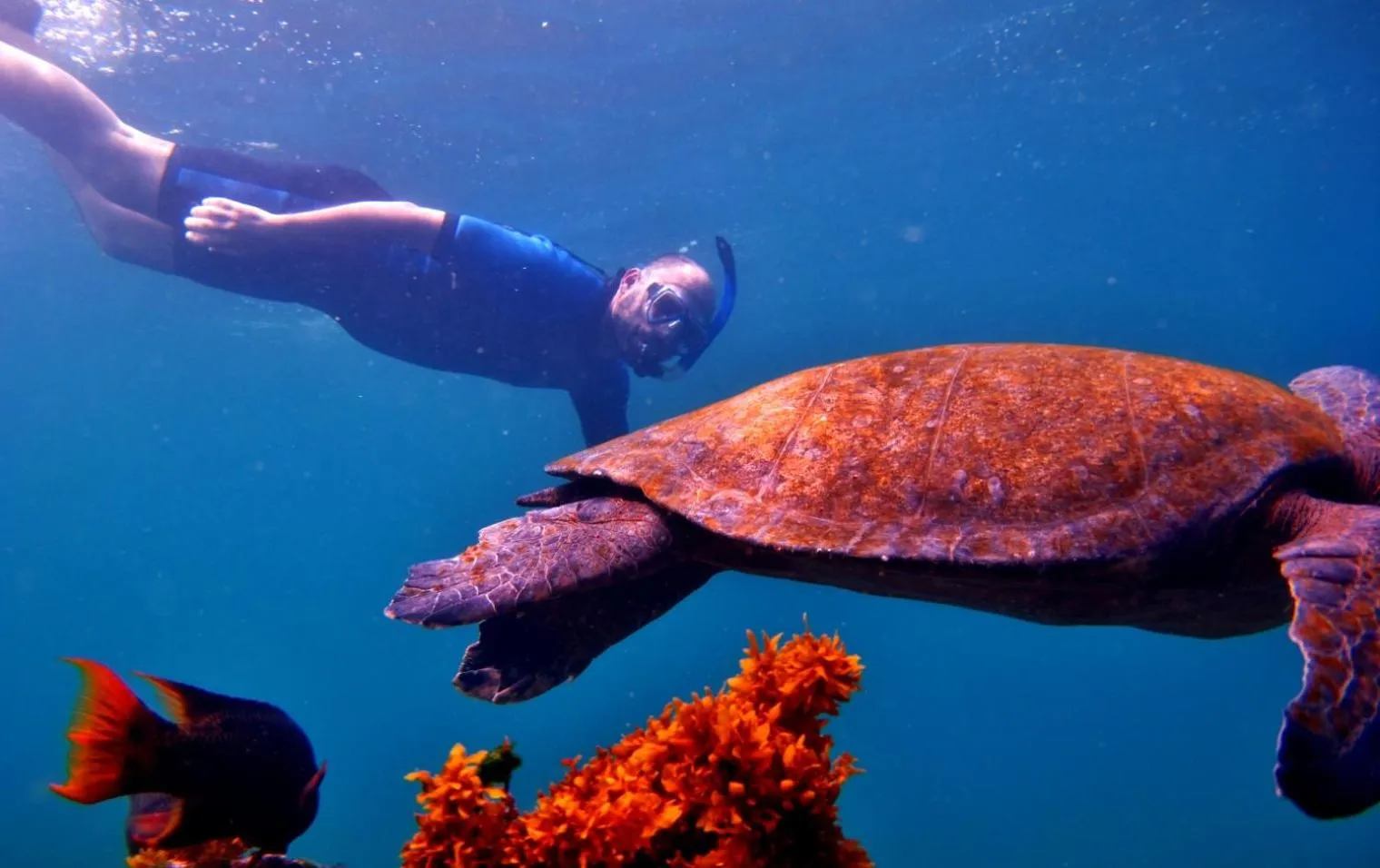 Snorkeling in Finch Bay Galapagos Hotel