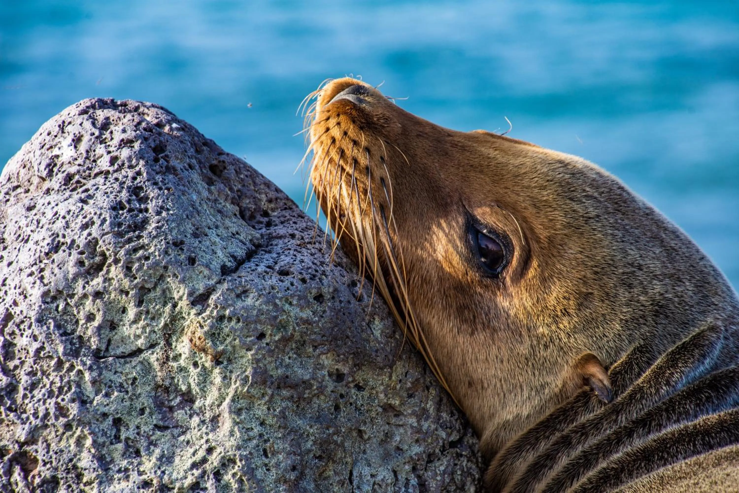 Activities in Finch Bay Galapagos Hotel