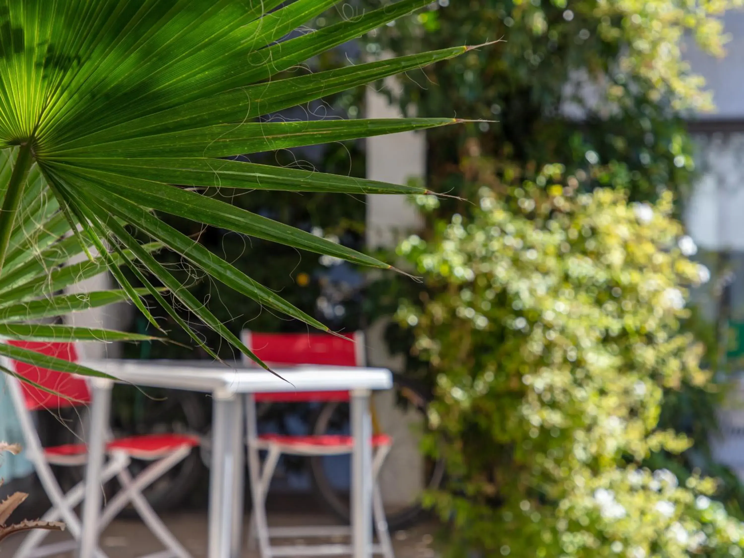 Garden view in Paradise Departamentos Garden view in Paradise Departamentos