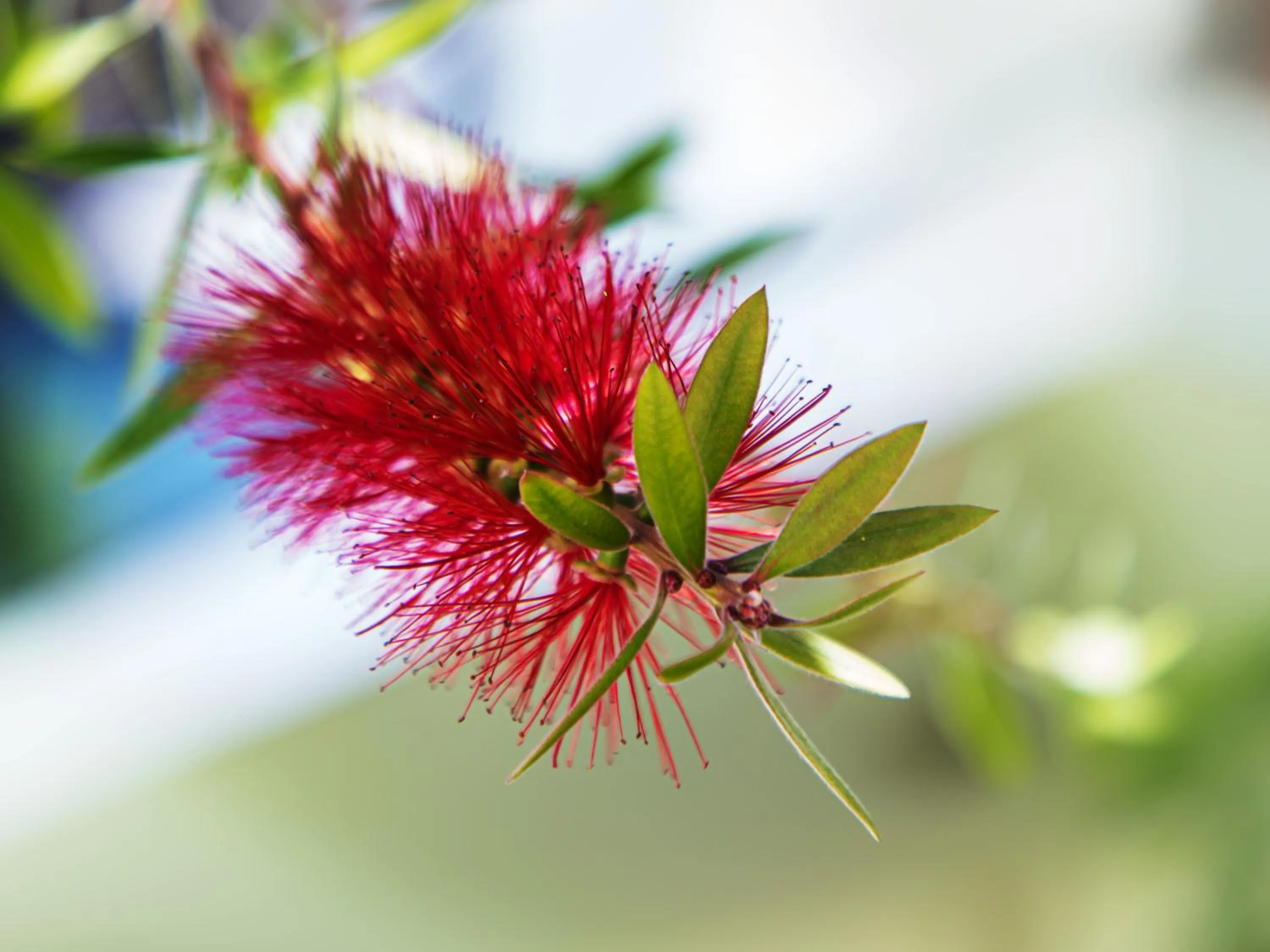 Garden in Paradise Departamentos