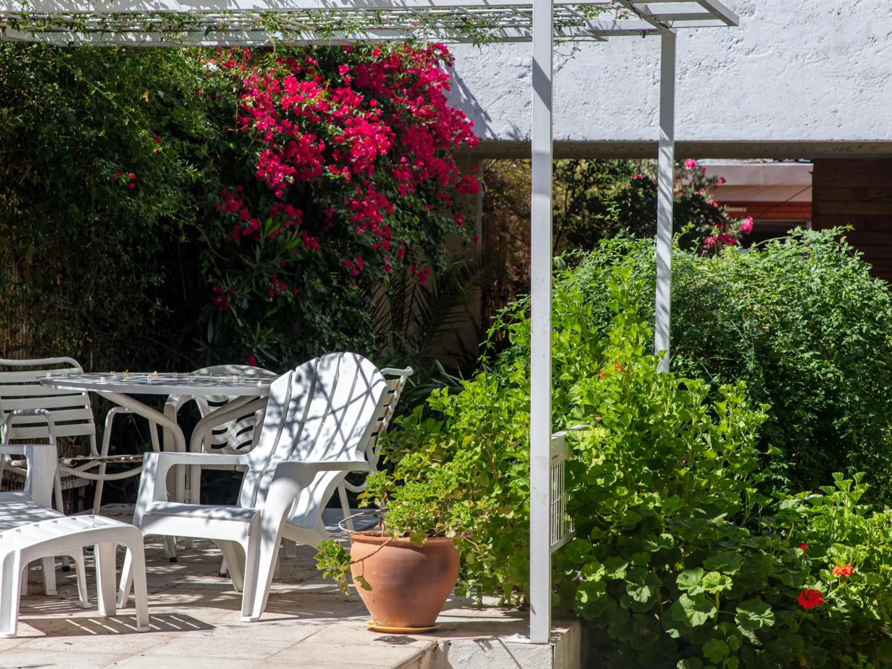 Garden in Paradise Departamentos