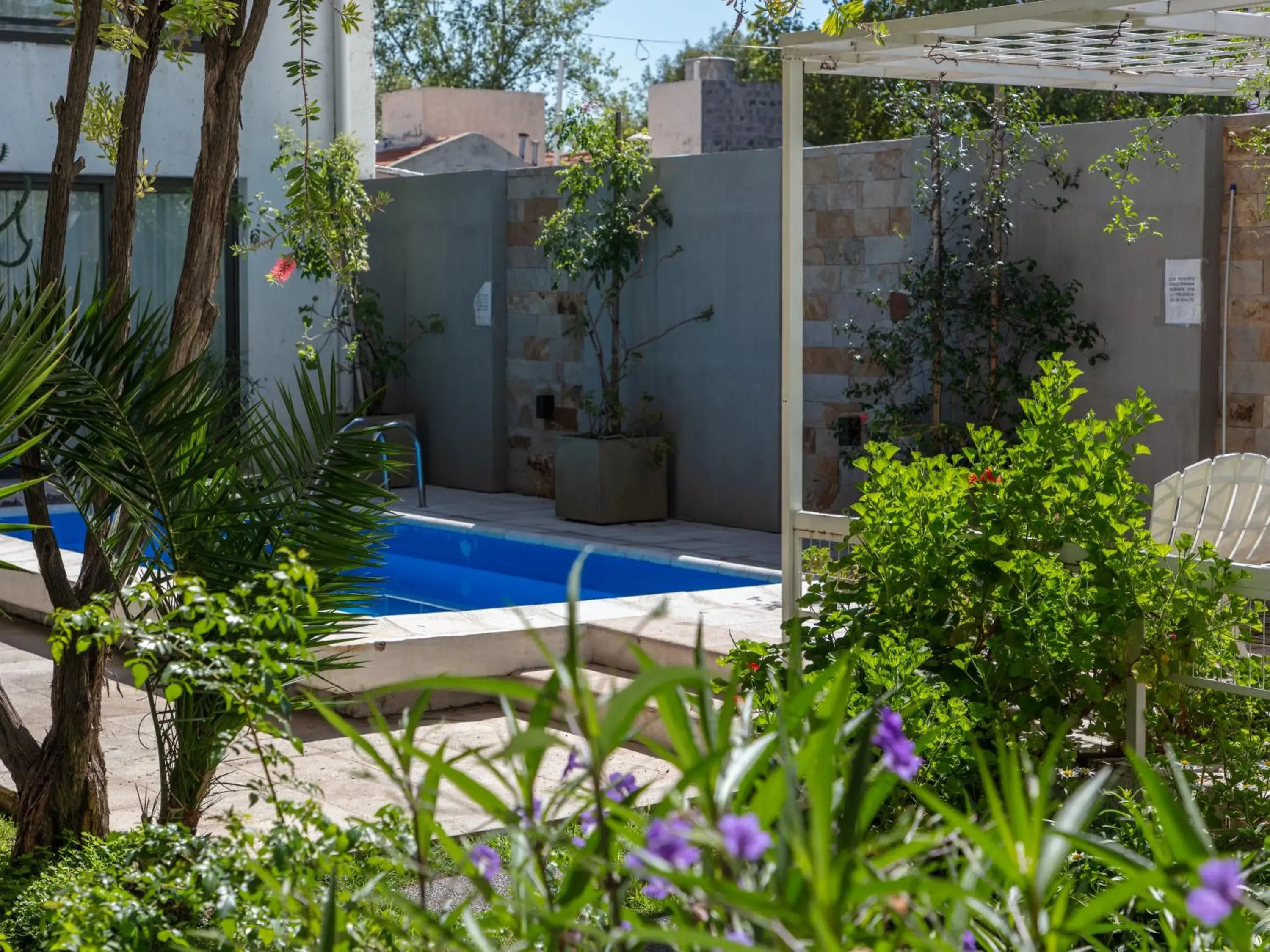 Swimming pool in Paradise Departamentos Swimming pool in Paradise Departamentos