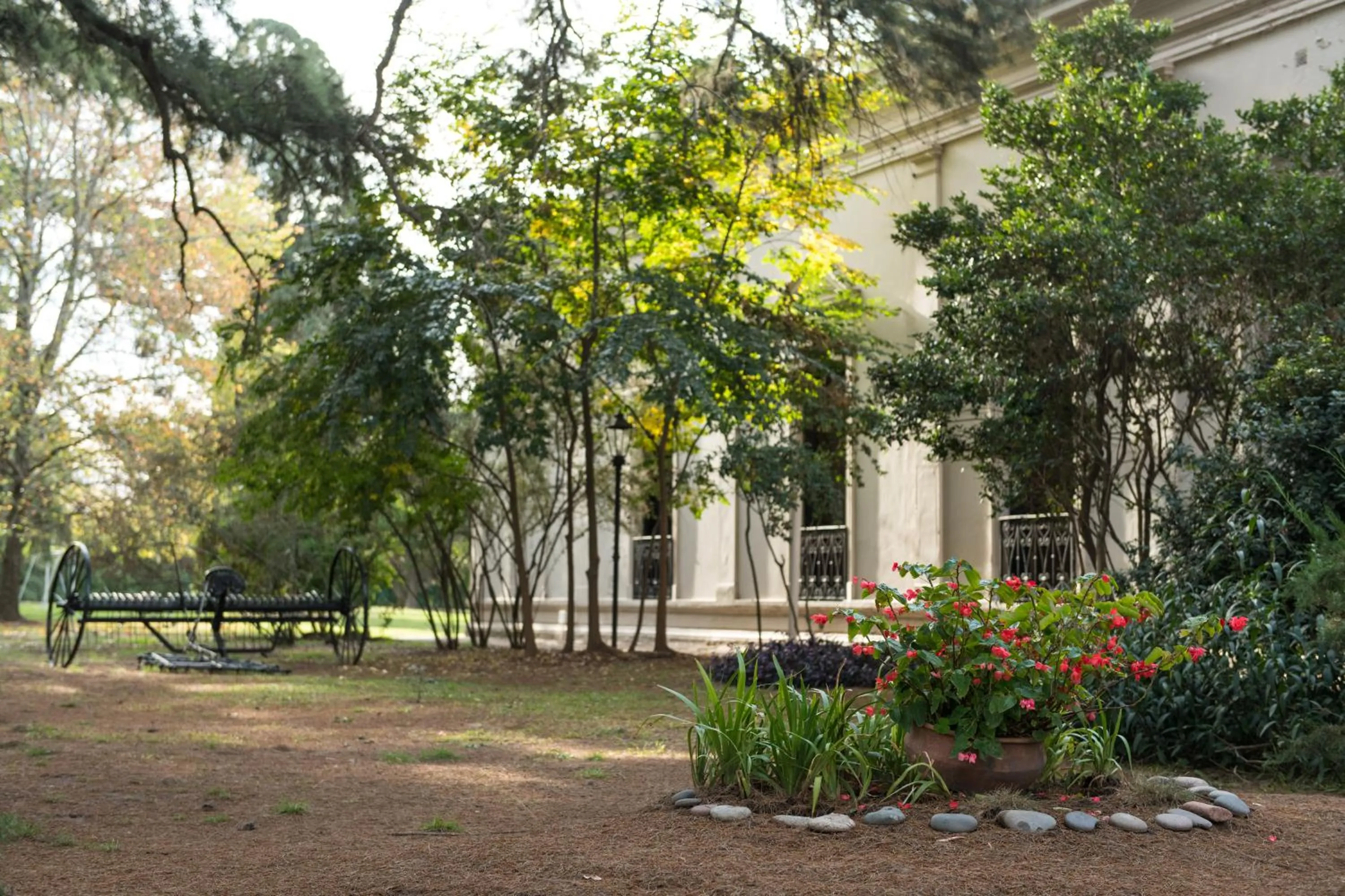 Natural landscape in Howard Johnson Resort & Spa Escobar