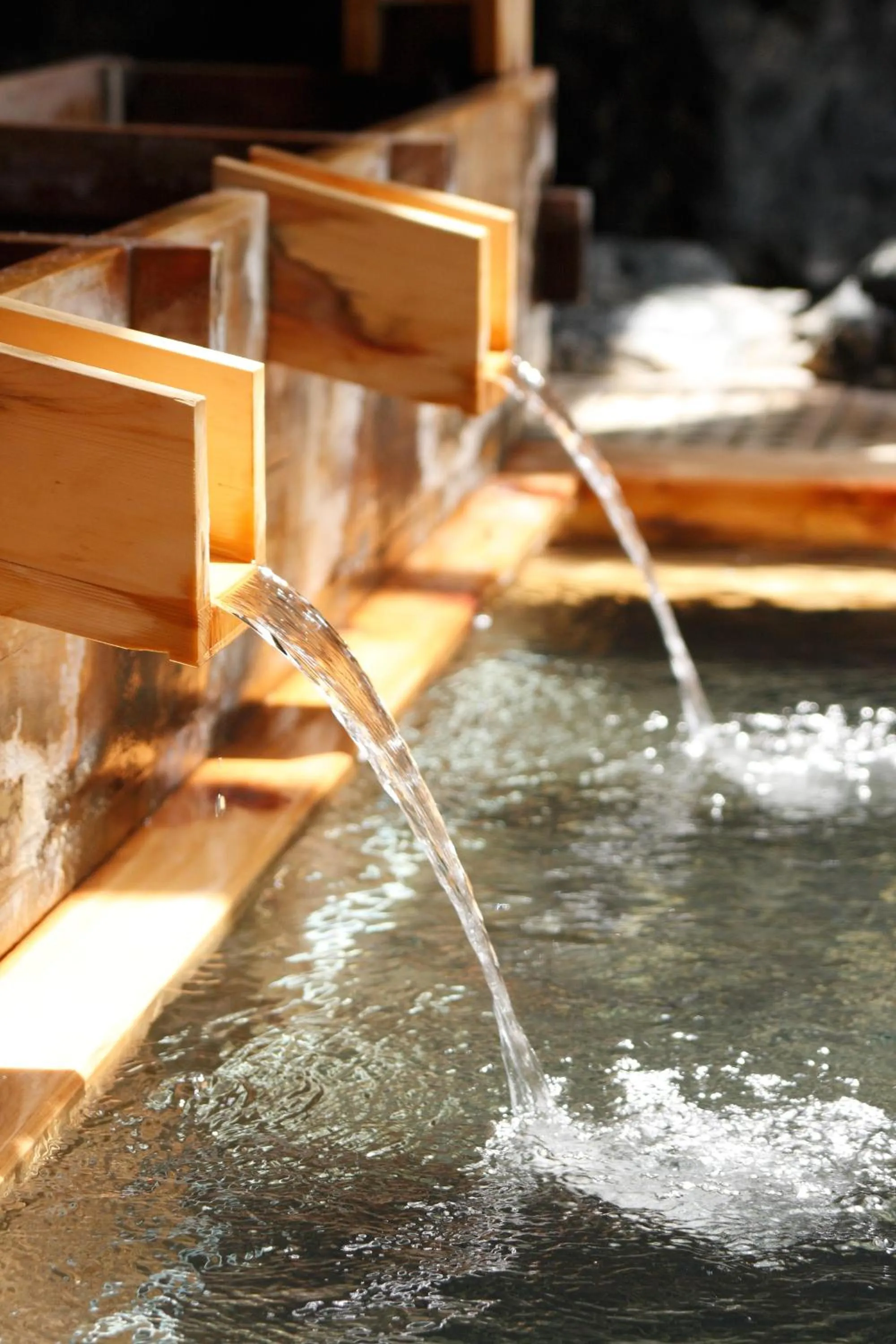 Hot Spring Bath in Sarugakyo Hotel