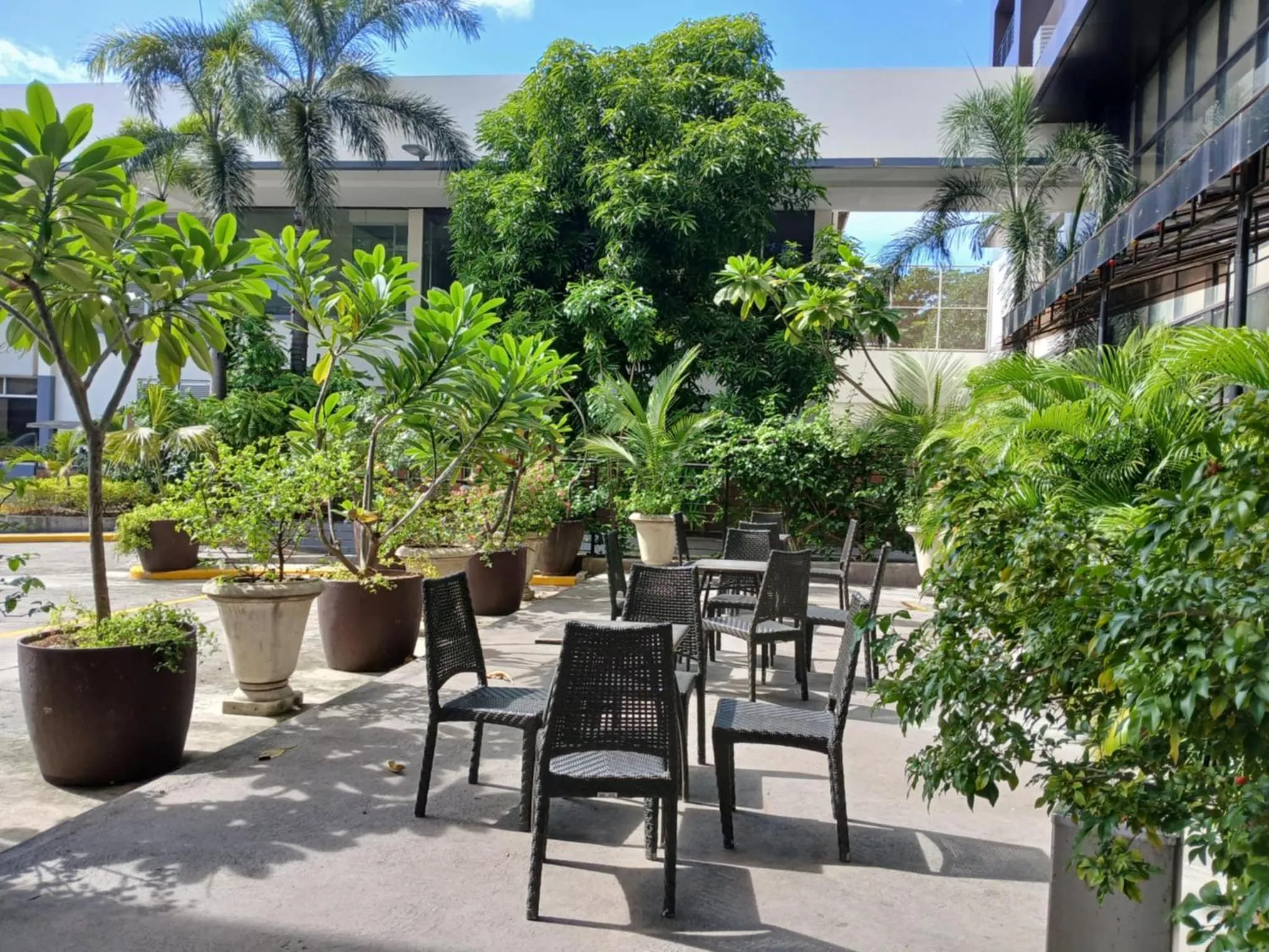 Garden view in Dohera Hotel