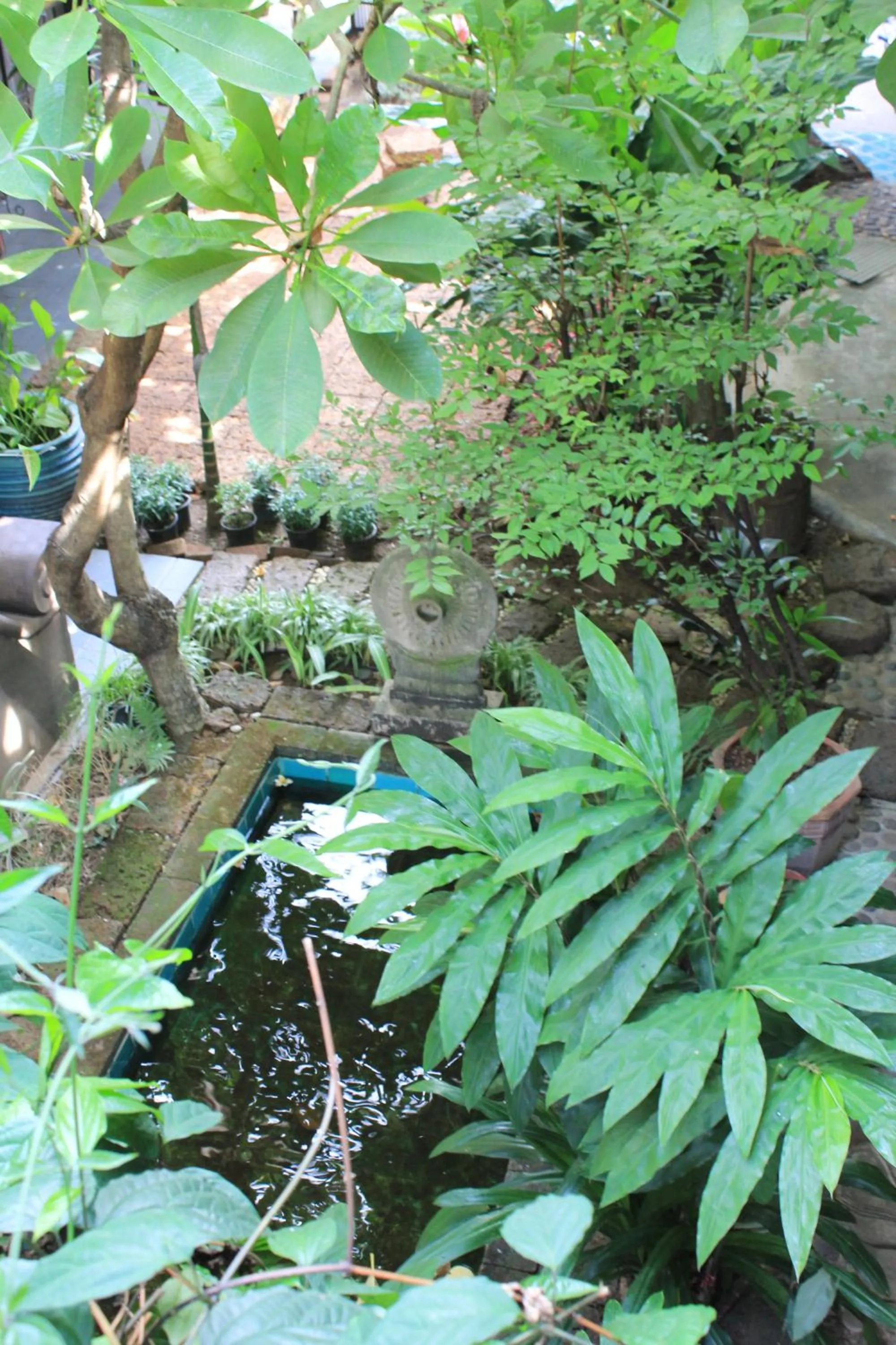 Garden in The Riverside Guest House