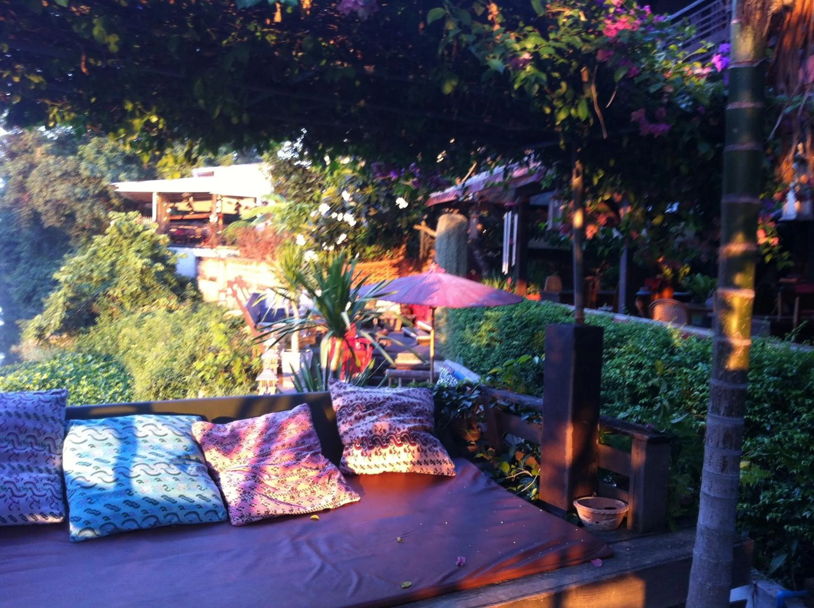 Garden in The Riverside Guest House