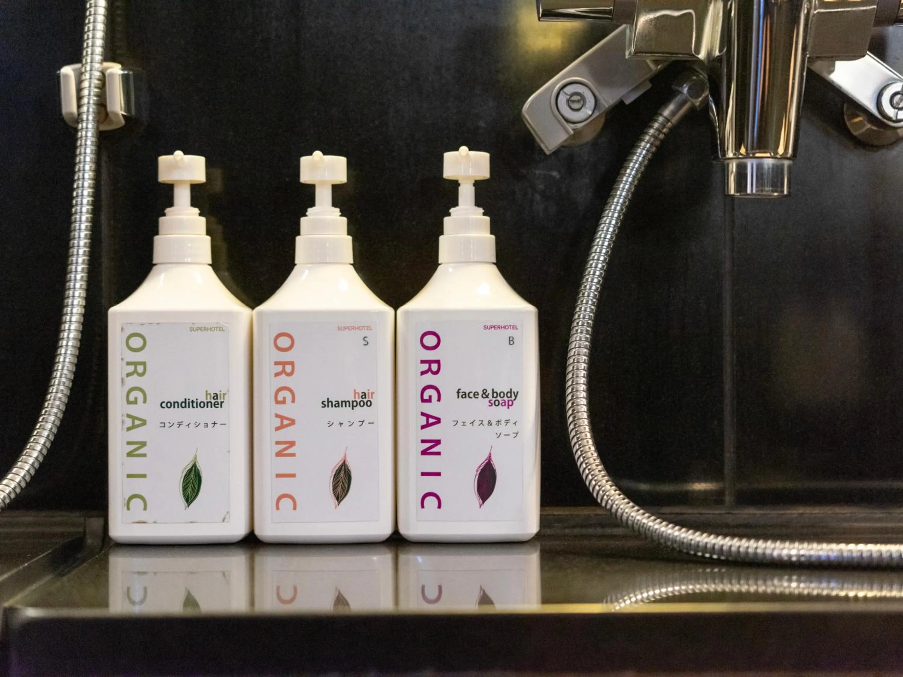 Super Hotel Premier JR Nara Eki