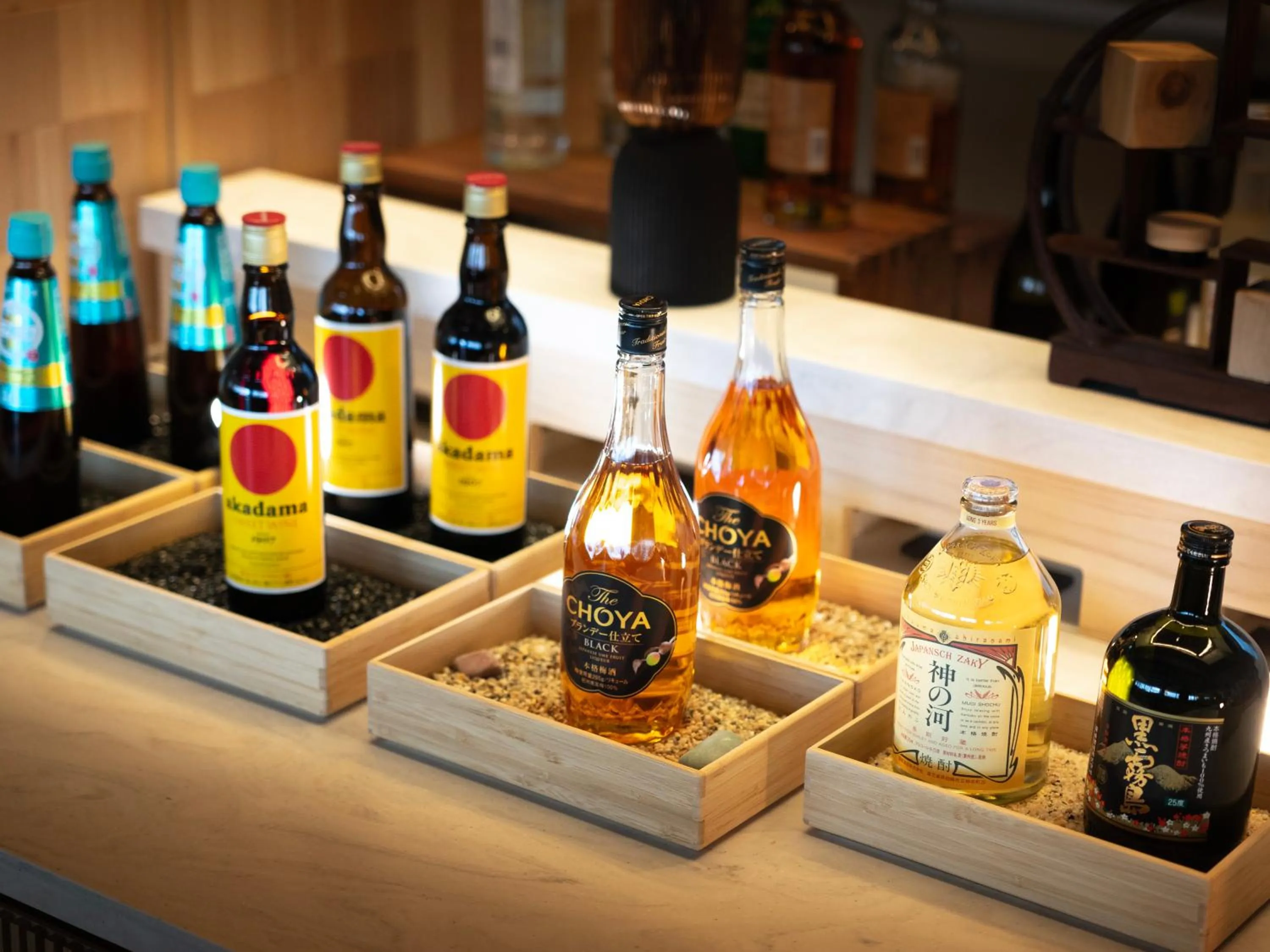 Super Hotel Premier JR Nara Eki