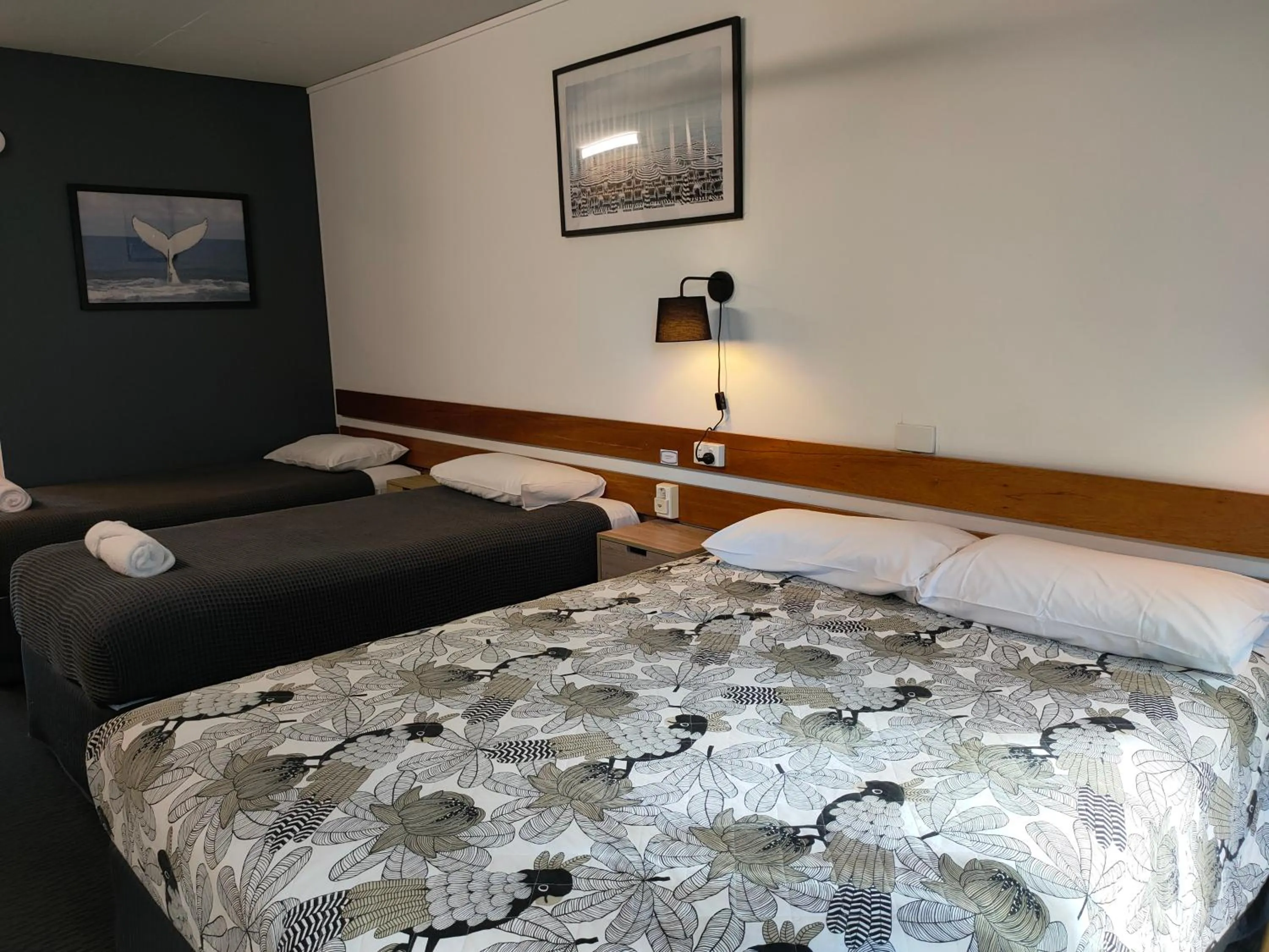 Bed in Shelly Beach Motel