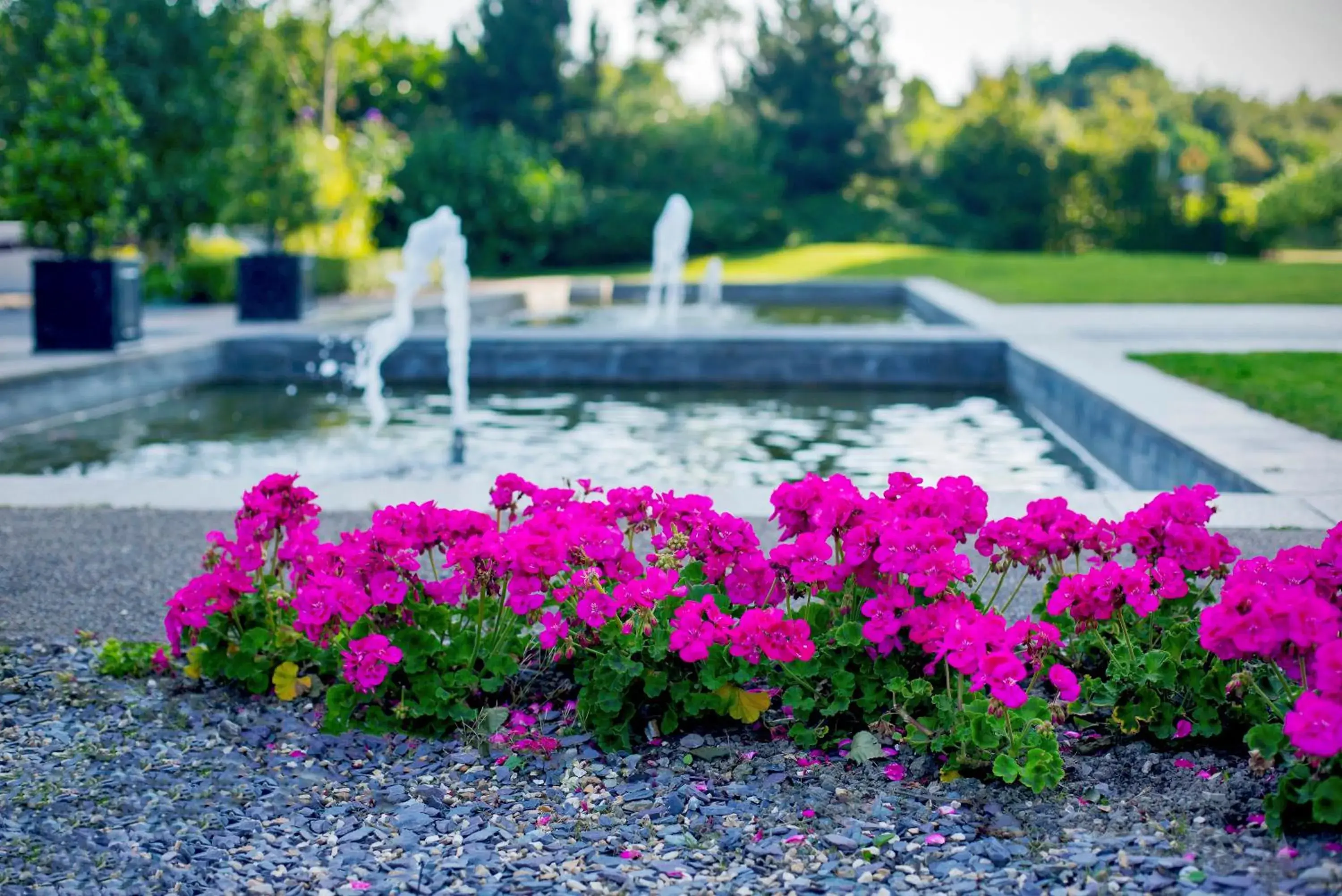 Fitness centre/facilities in The Gateway Hotel Fitness centre/facilities in The Gateway Hotel