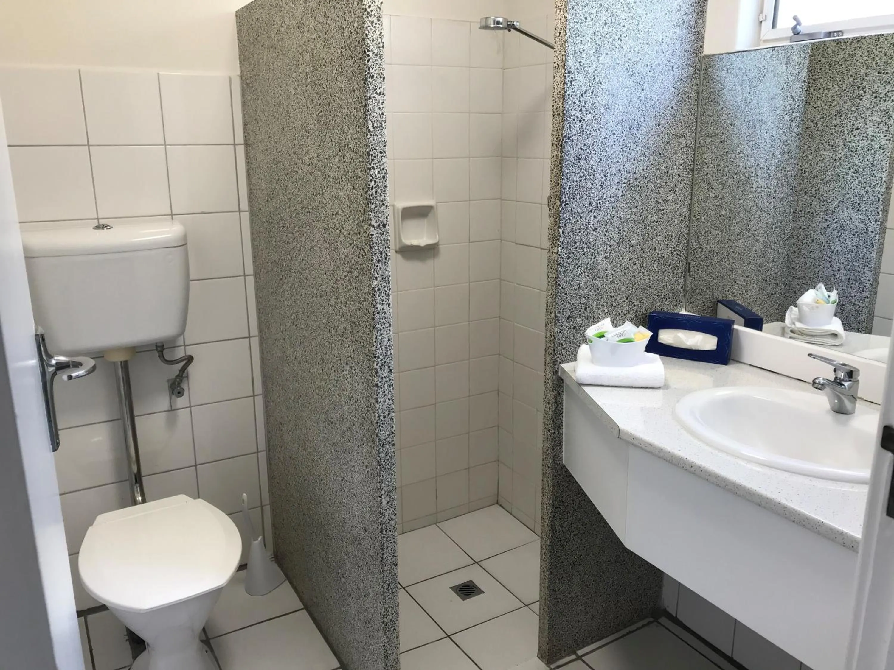 Bathroom in Frewville Motor Inn