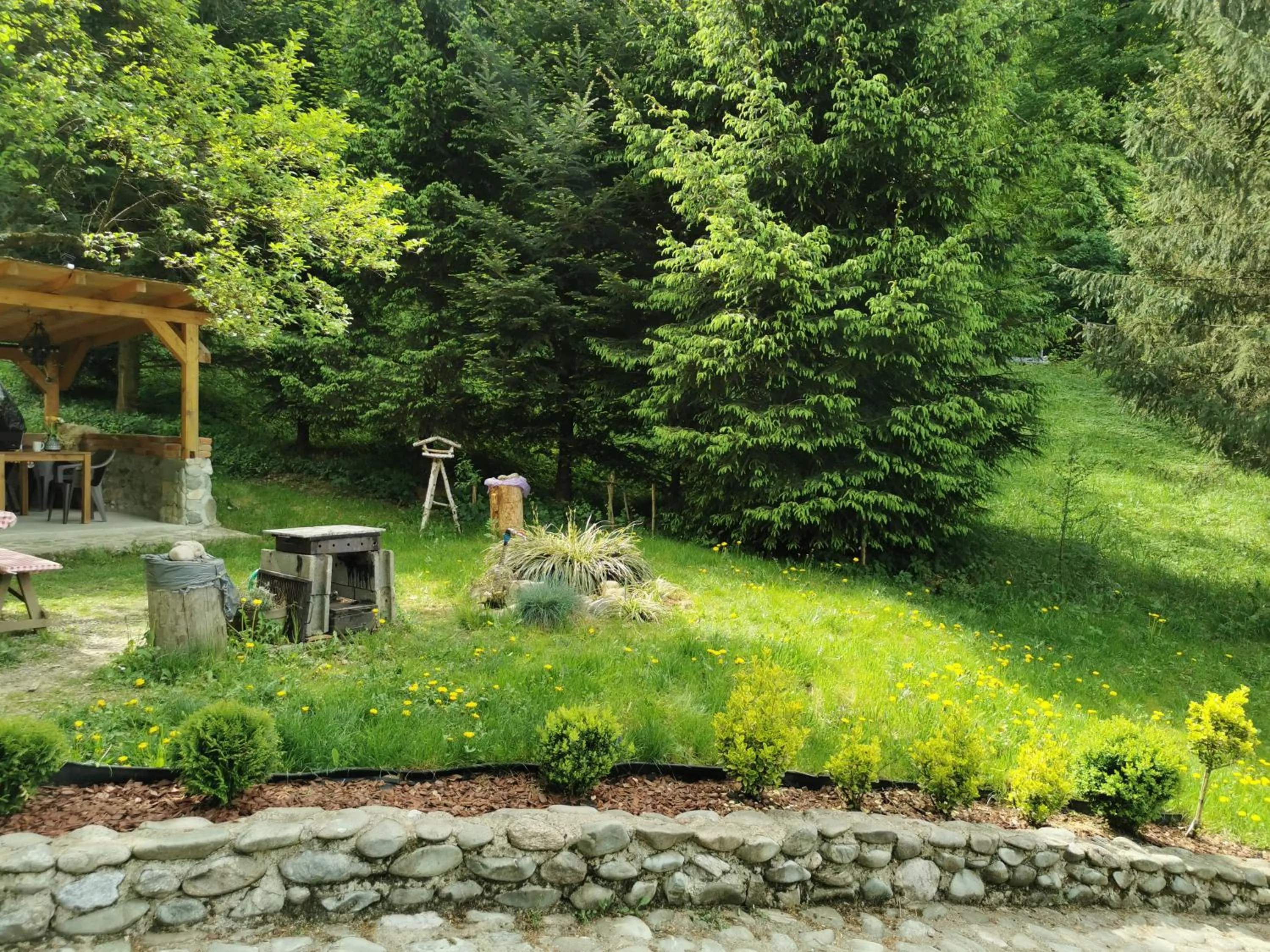 SOHO Lodge Rasnov