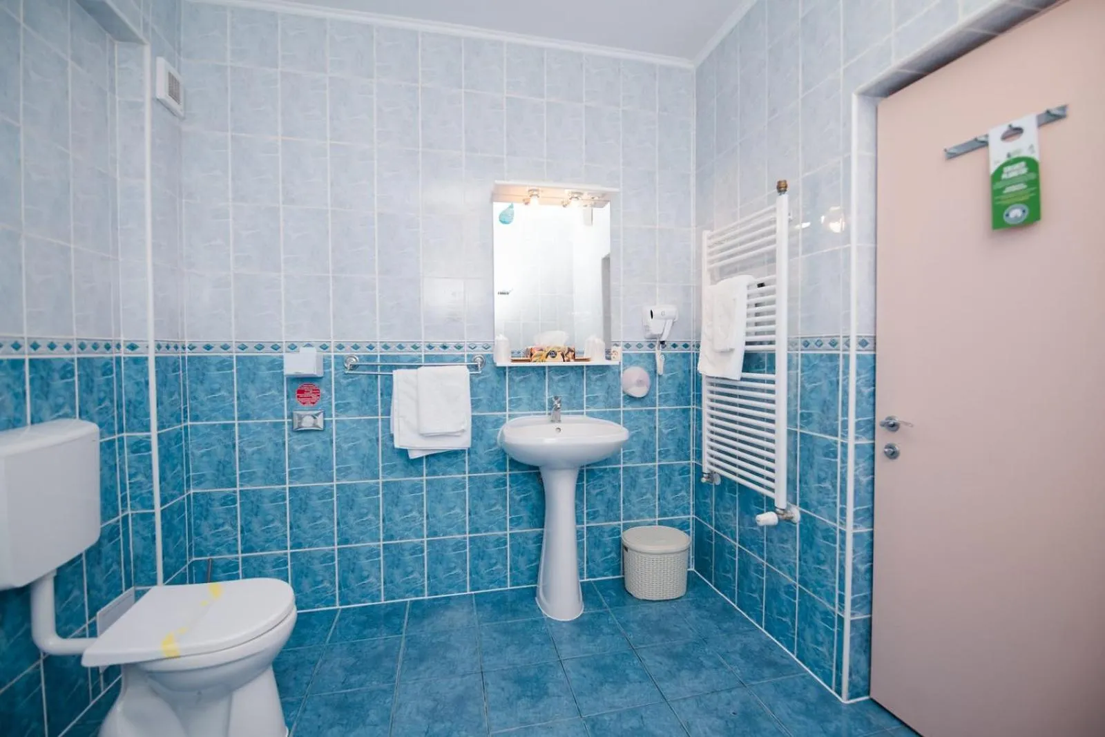 Bathroom in Hotel Fantanita Haiducului