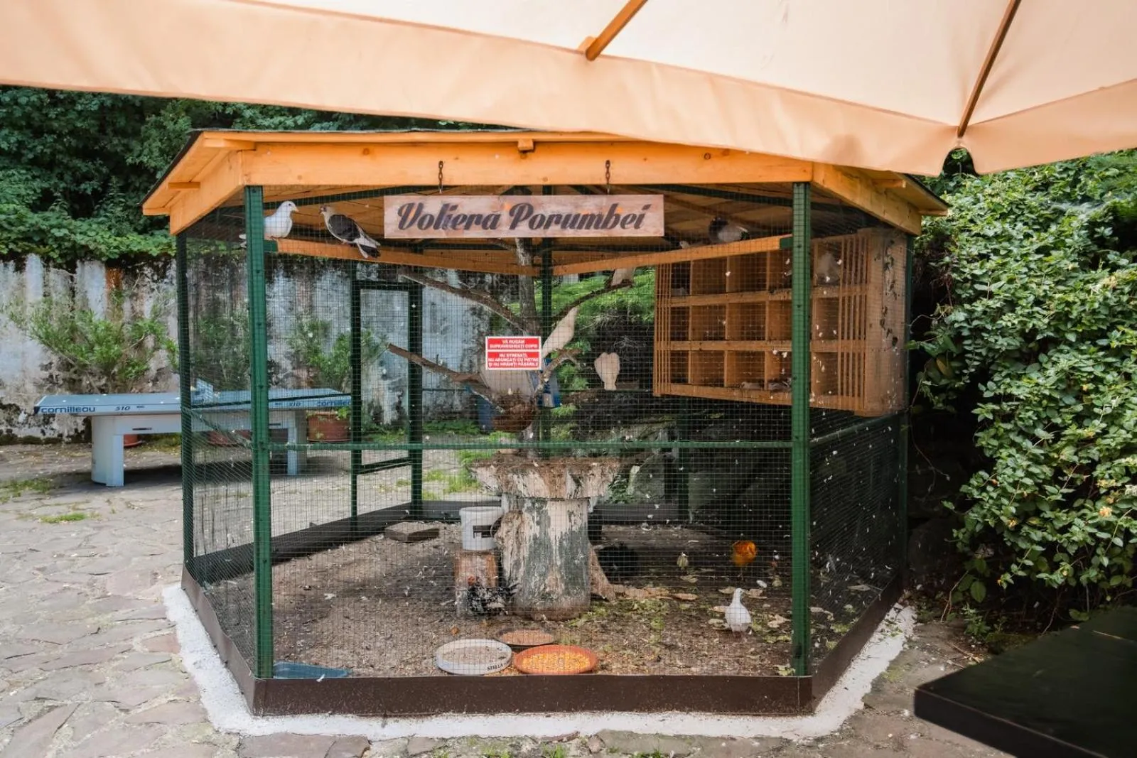 Balcony/Terrace in Hotel Fantanita Haiducului