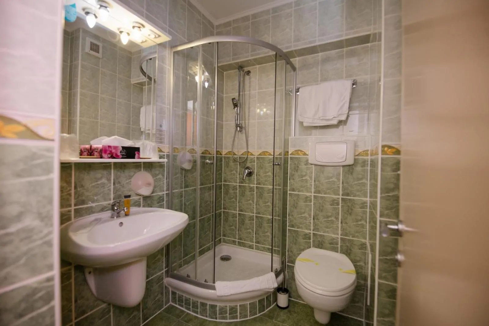 Bathroom in Hotel Fantanita Haiducului