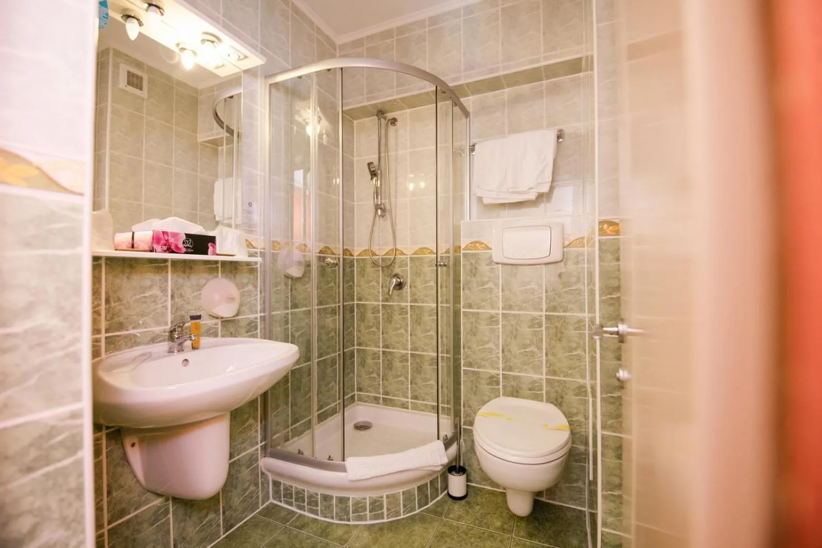 Bathroom in Hotel Fantanita Haiducului