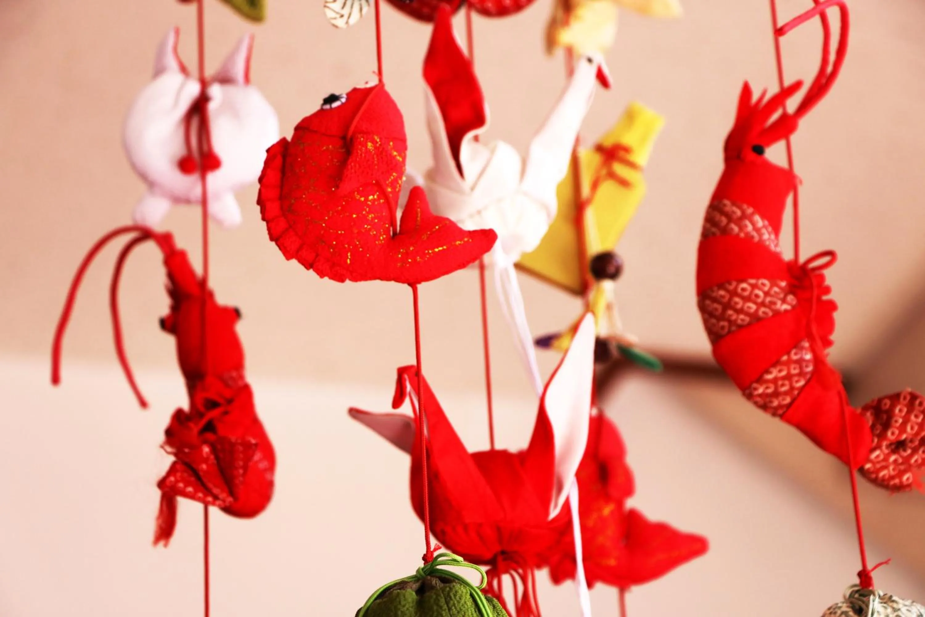 Area and facilities in IZUNA INN & SPA - the veggie delights