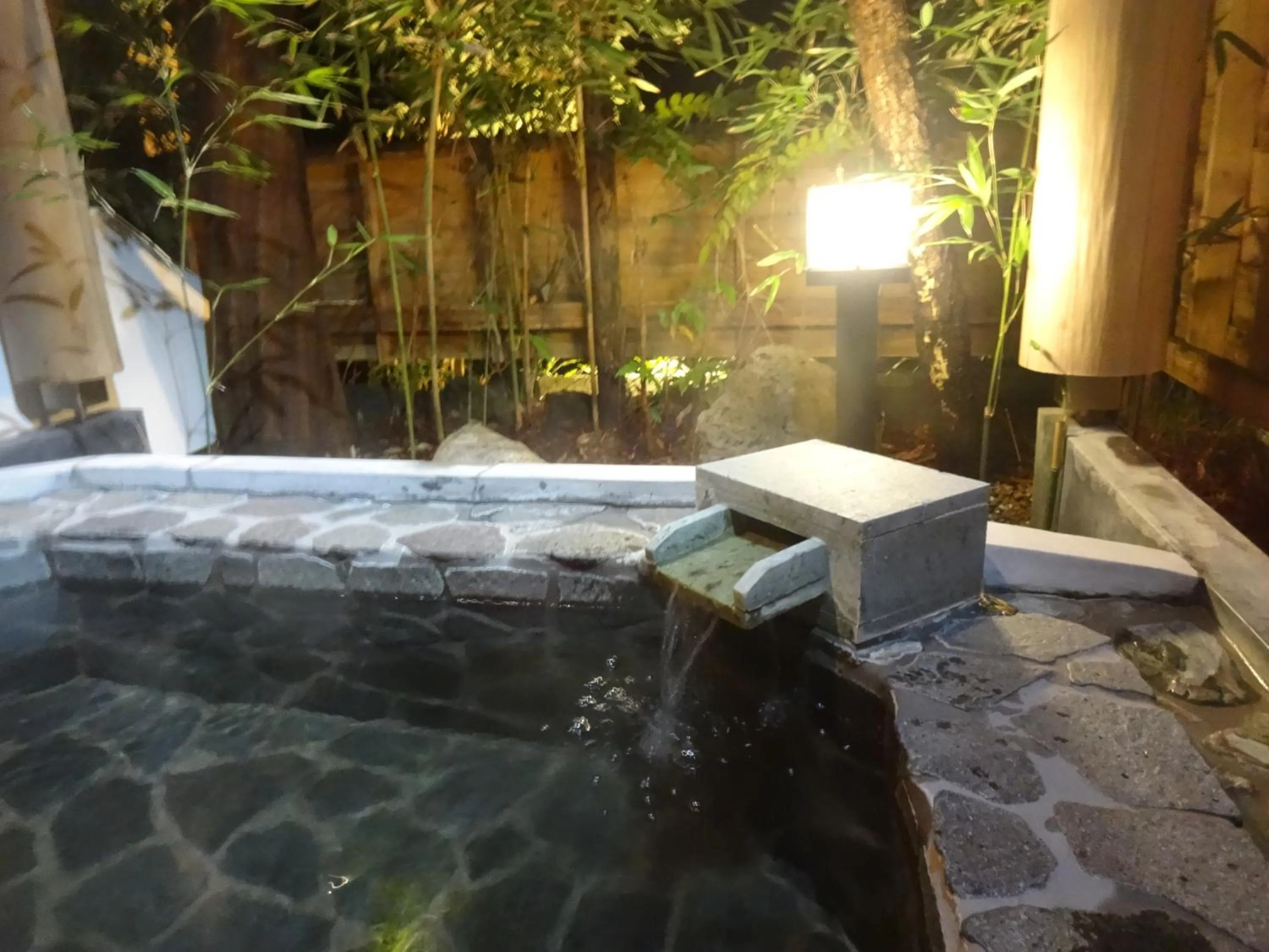 IZUNA INN & SPA - the veggie delights