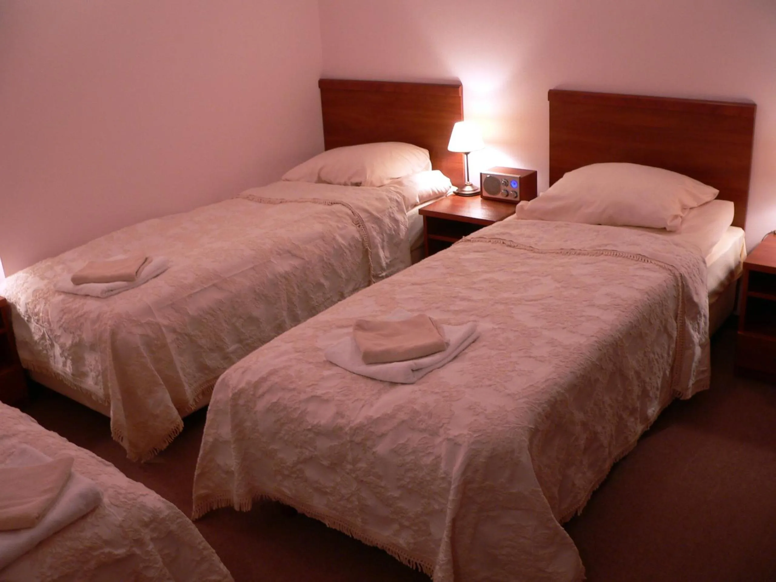 Triple Room - single occupancy in Pensjonat Lira