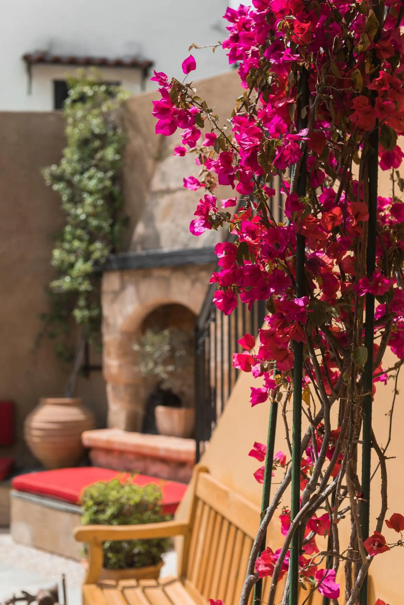 Garden in Zacosta Villa Hotel