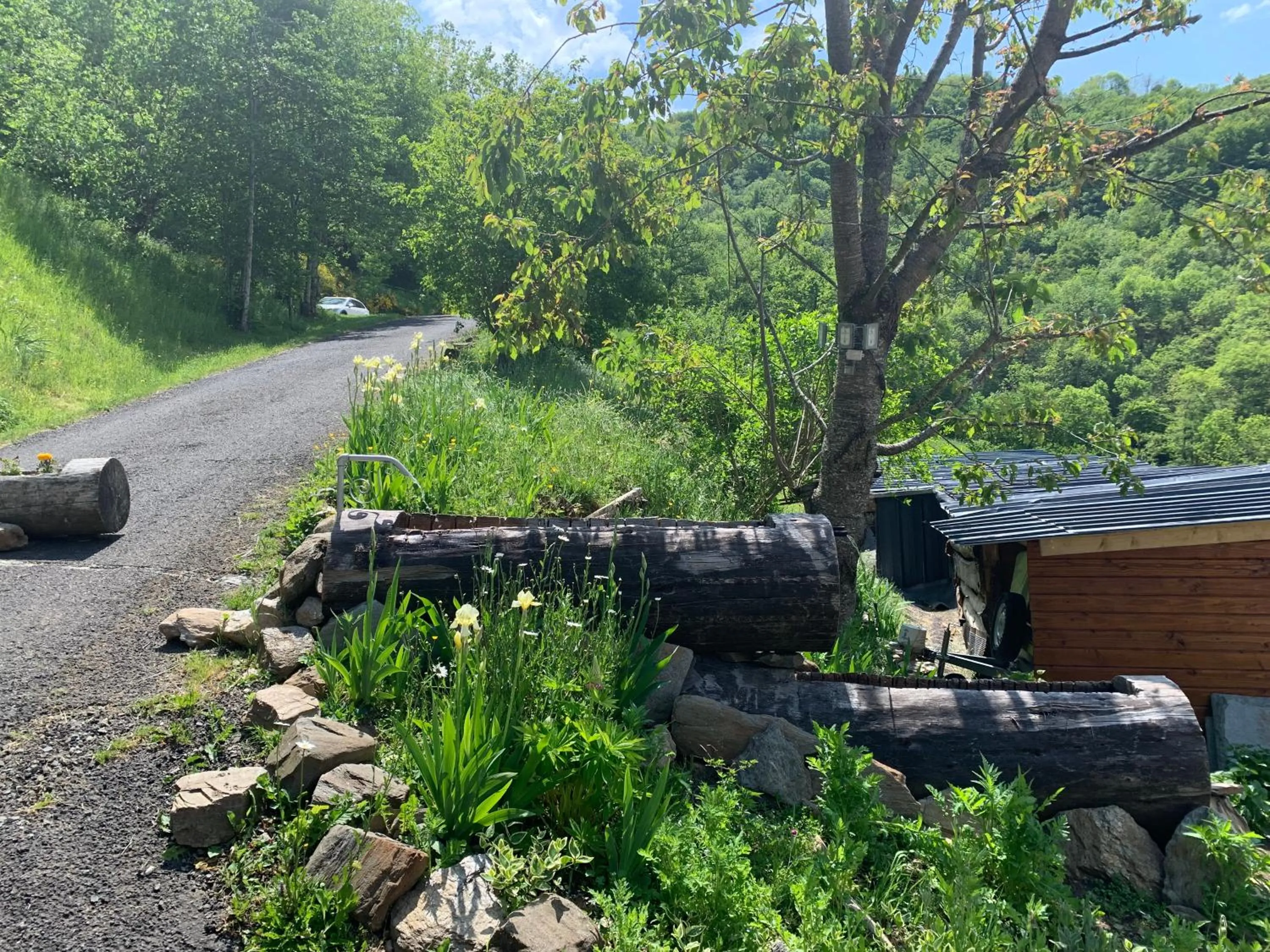 Garden view in Chambres d'hôtes Le Lepadou-Bas