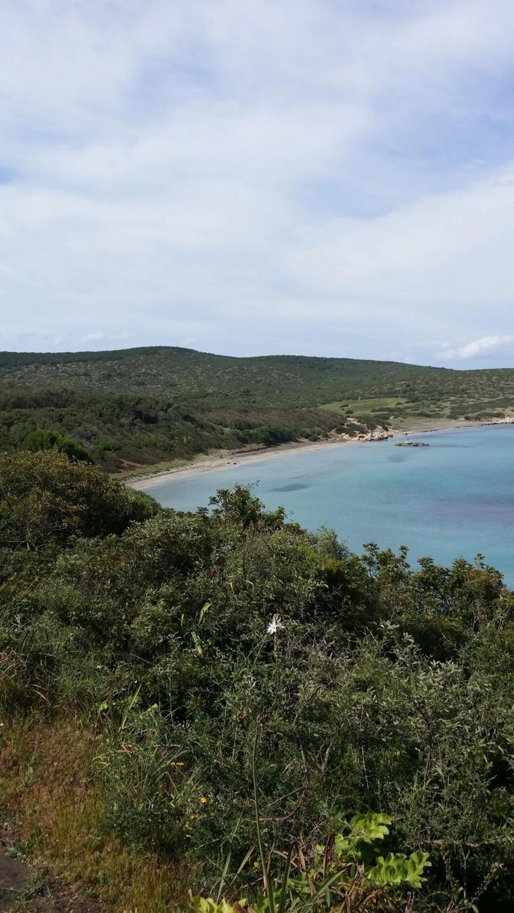 Beach in Il Melangolo