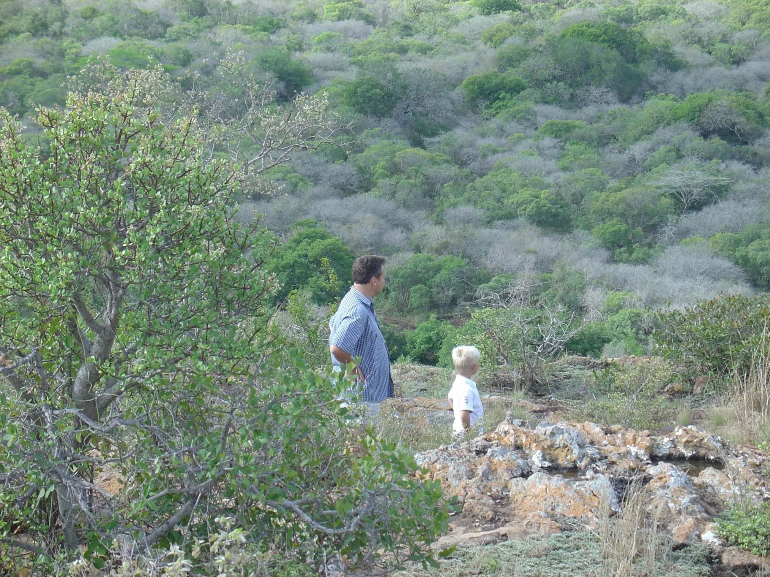 Aloe View Rock Lodge