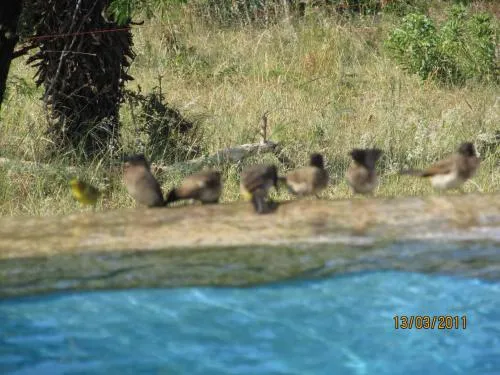Aloe View Rock Lodge
