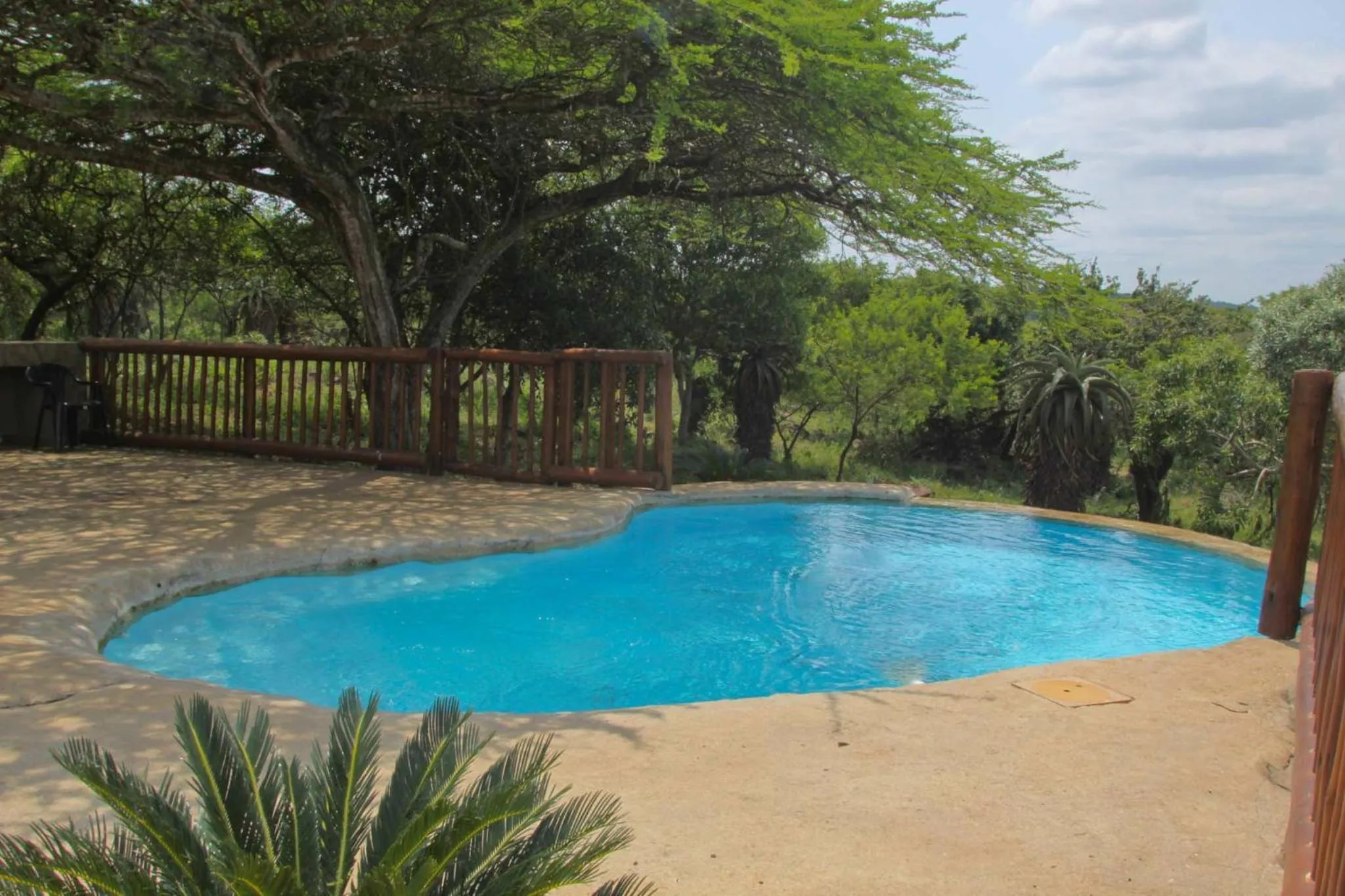 Swimming pool in Aloe View Rock Lodge
