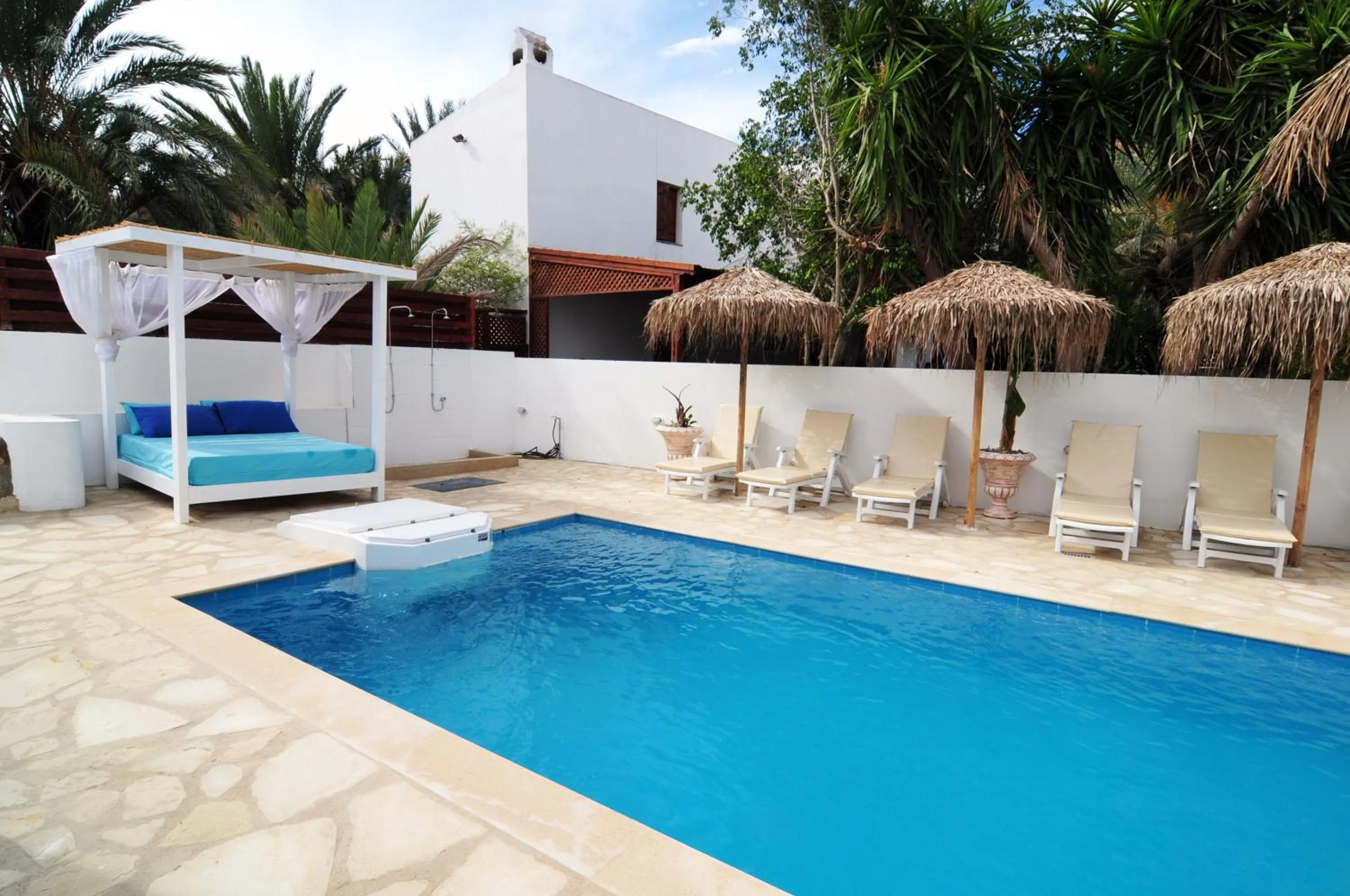 Garden in Lithos Studios