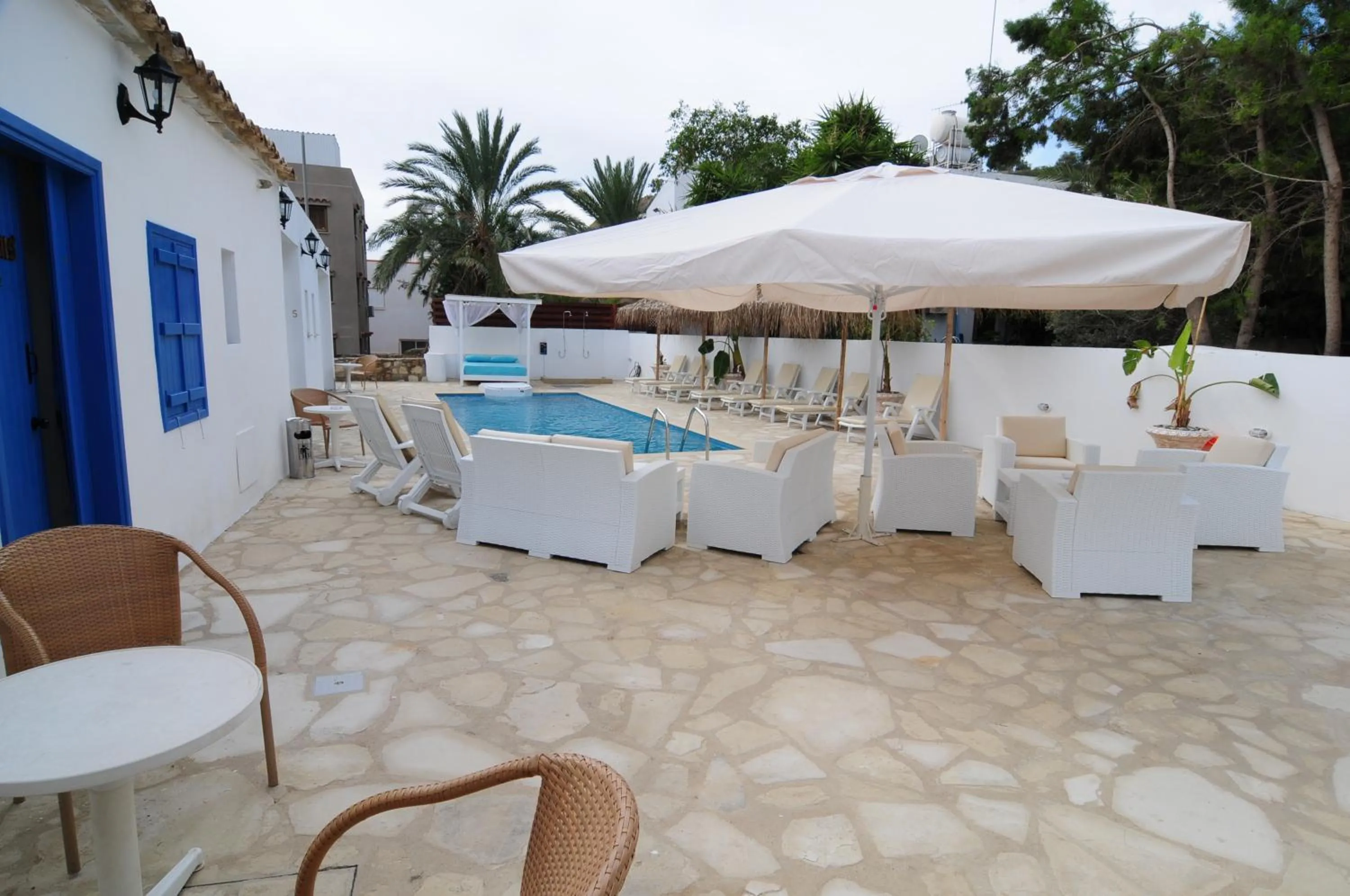 Garden in Lithos Studios